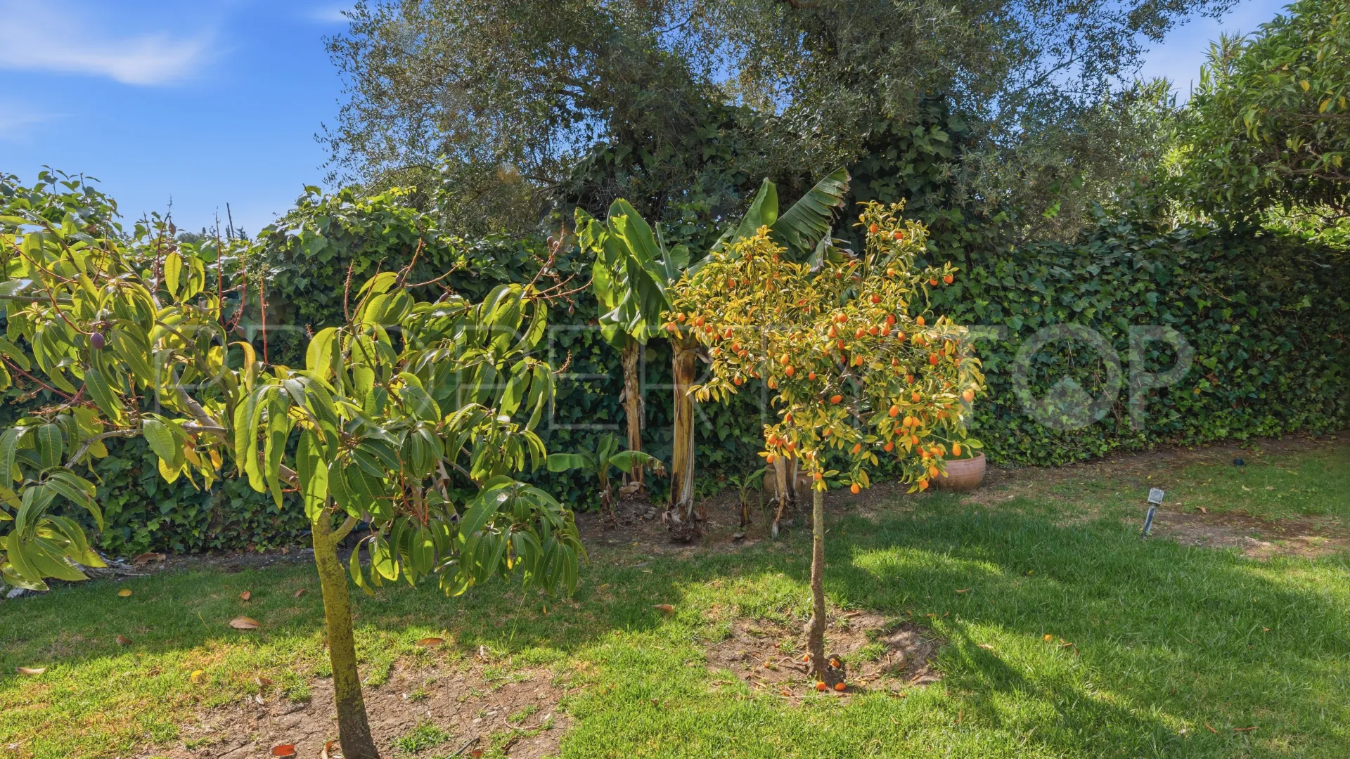 Buy country house in Estepona Town