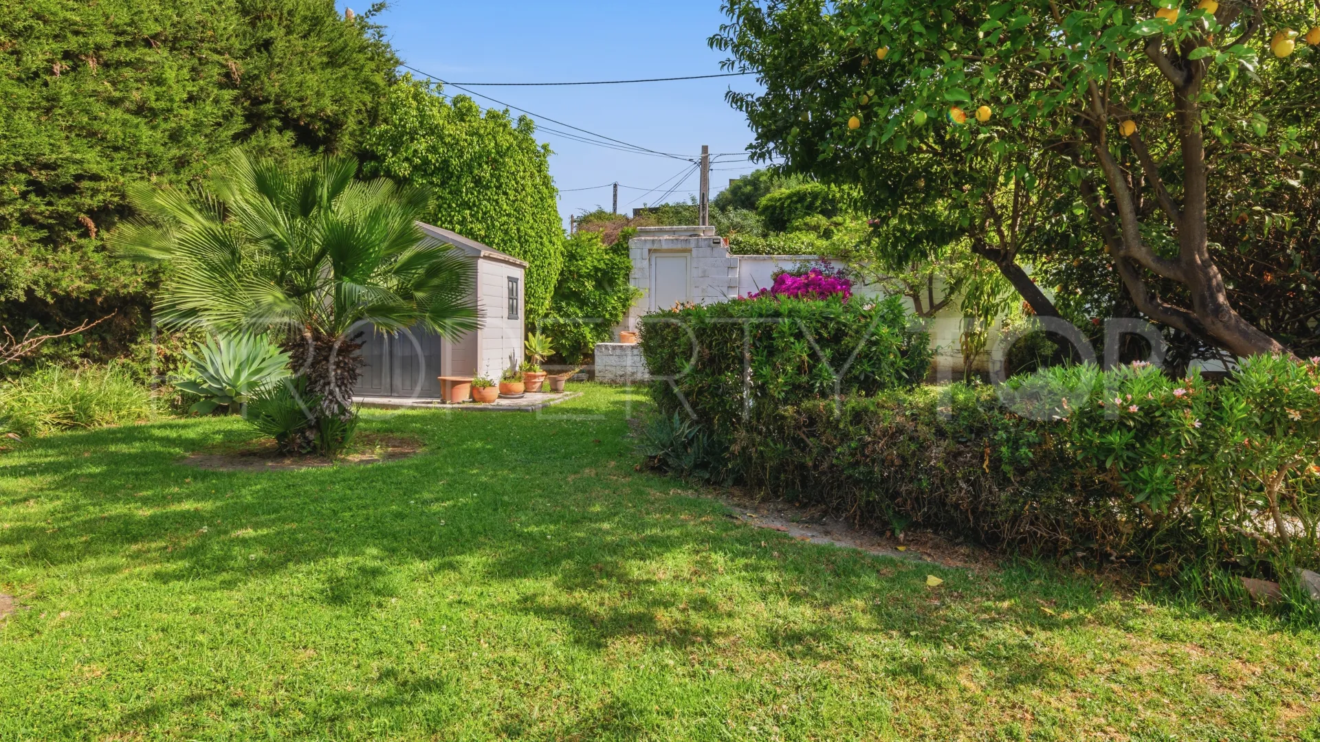 Buy country house in Estepona Town