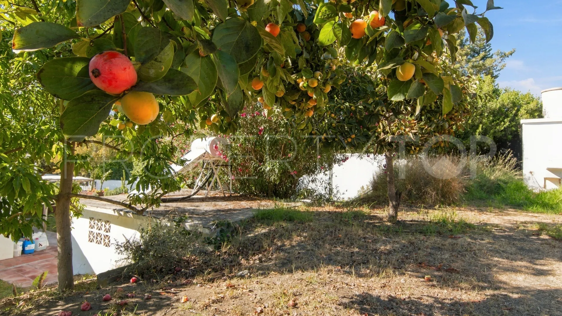 La Alberdina villa for sale