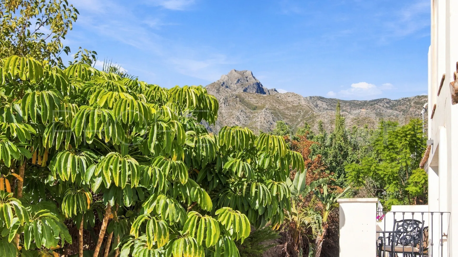 Buy apartment in Montebello Hills with 3 bedrooms