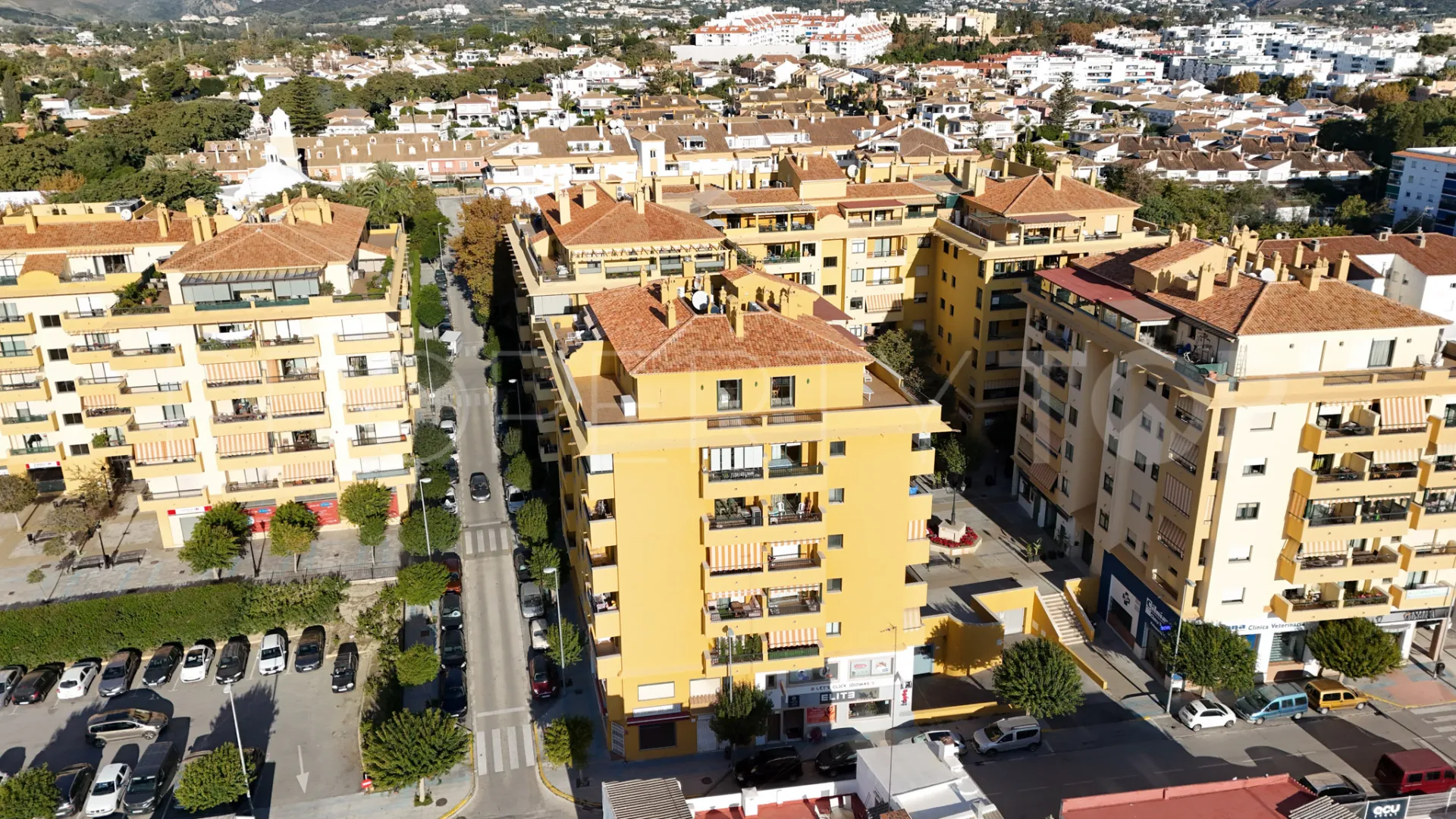Penthouse in San Pedro de Alcantara for sale