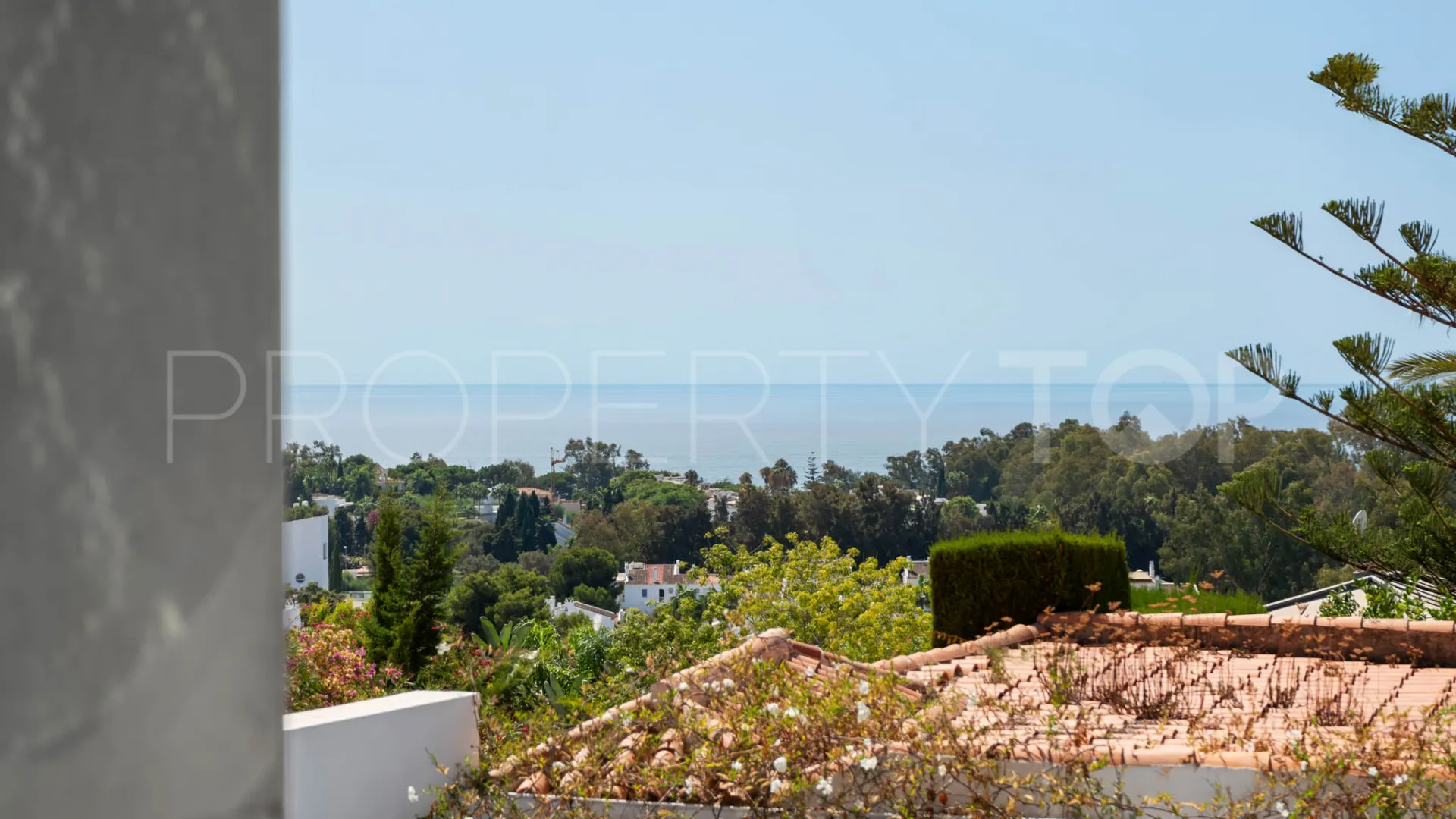 Buy villa in Elviria