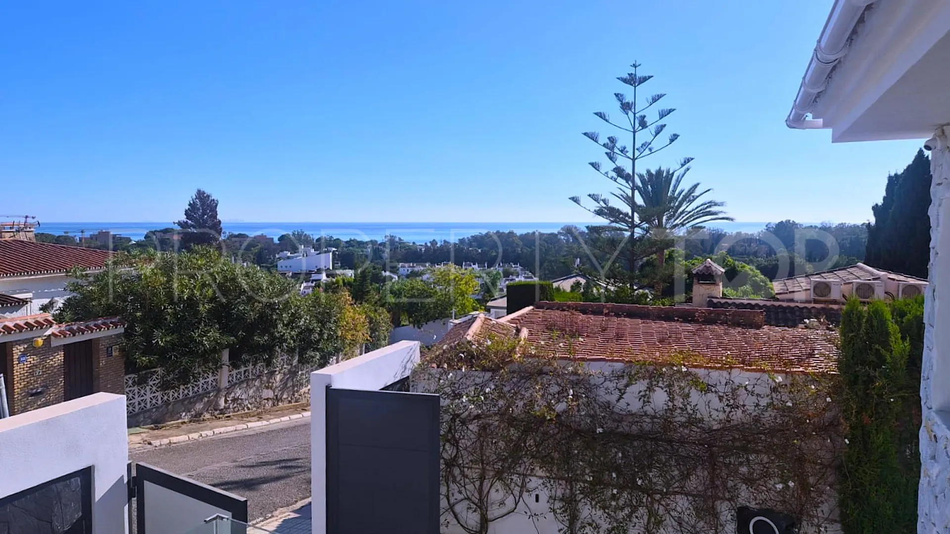 Buy villa in Elviria