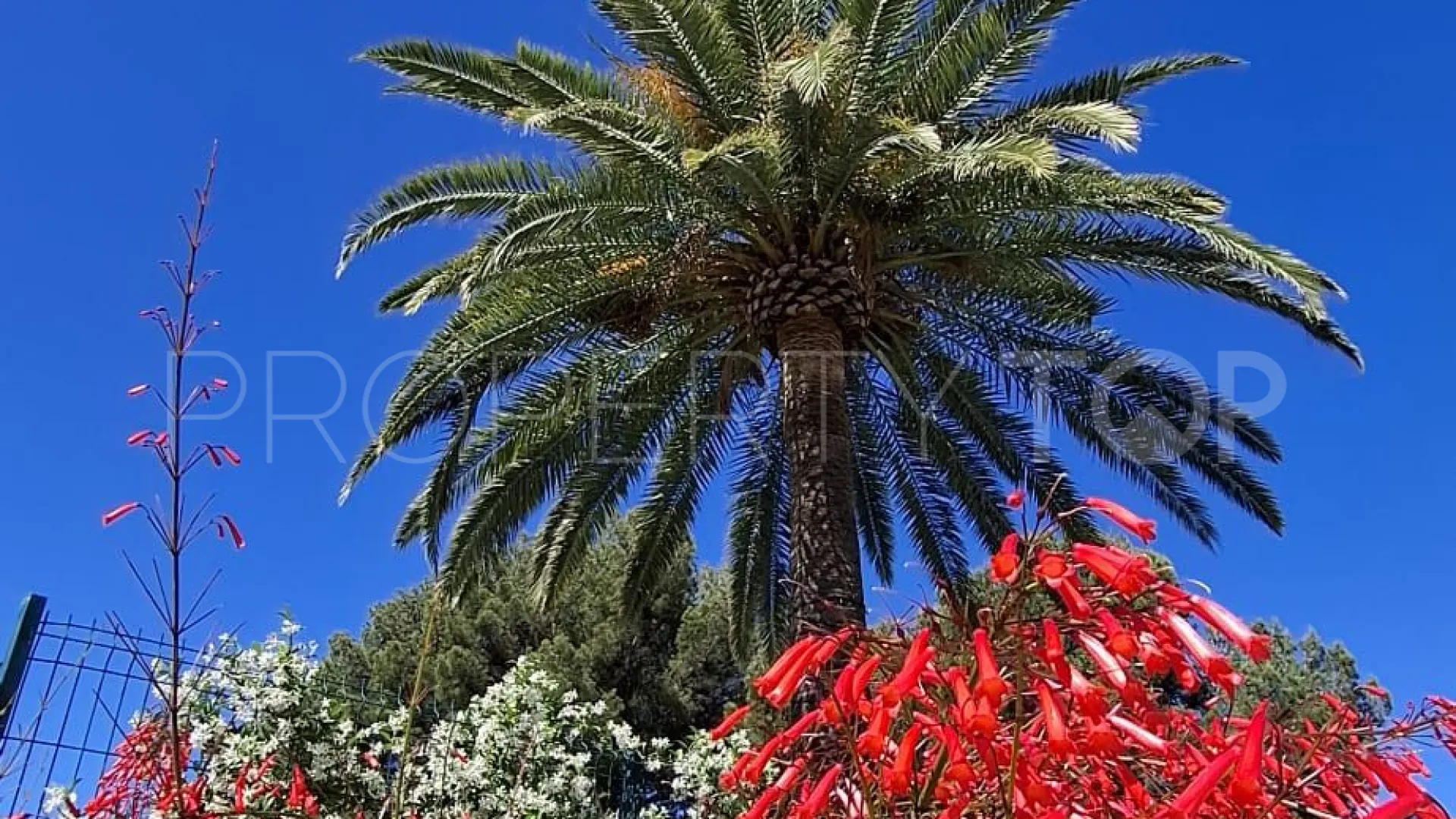 For sale Istan 1 bedroom apartment