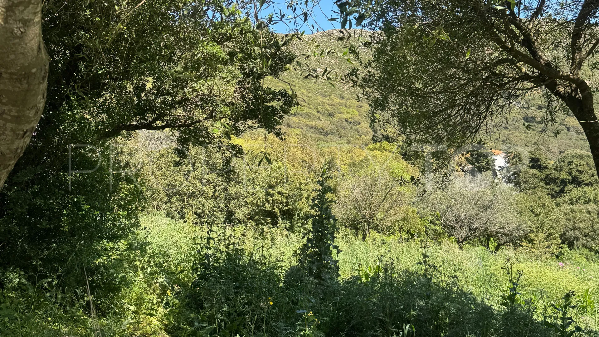 Parcela residencial en venta en El Cuartón