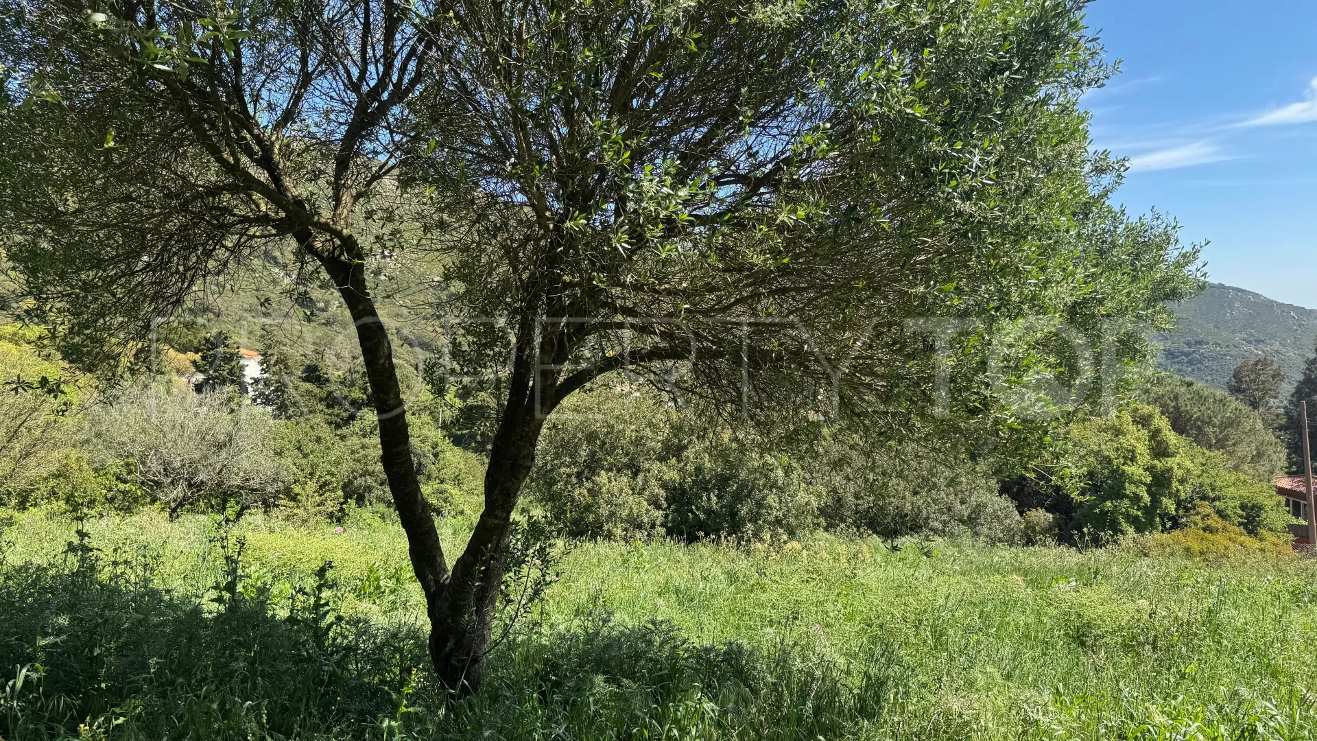 Parcela residencial en venta en El Cuartón