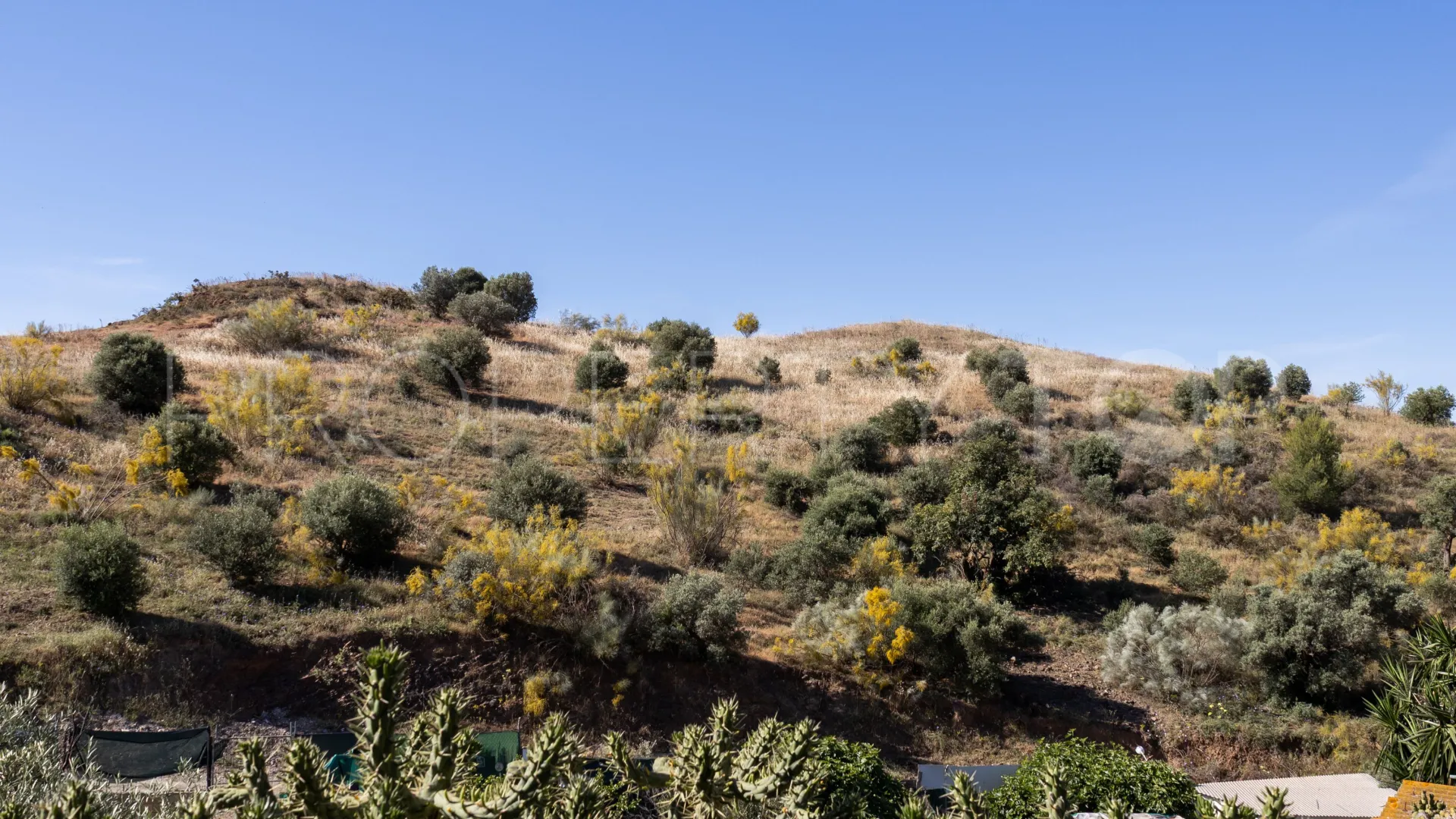 Buy house in Malaga - Este
