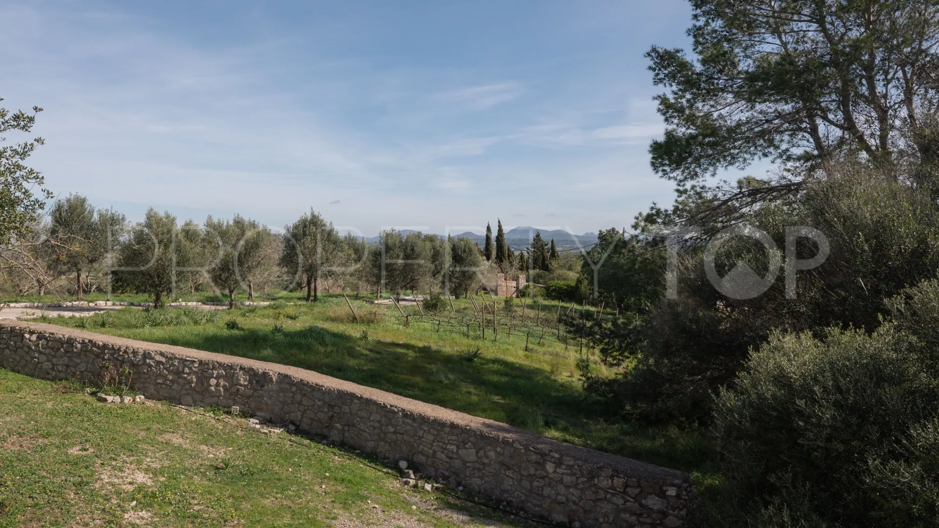 For sale villa in Petra with 7 bedrooms