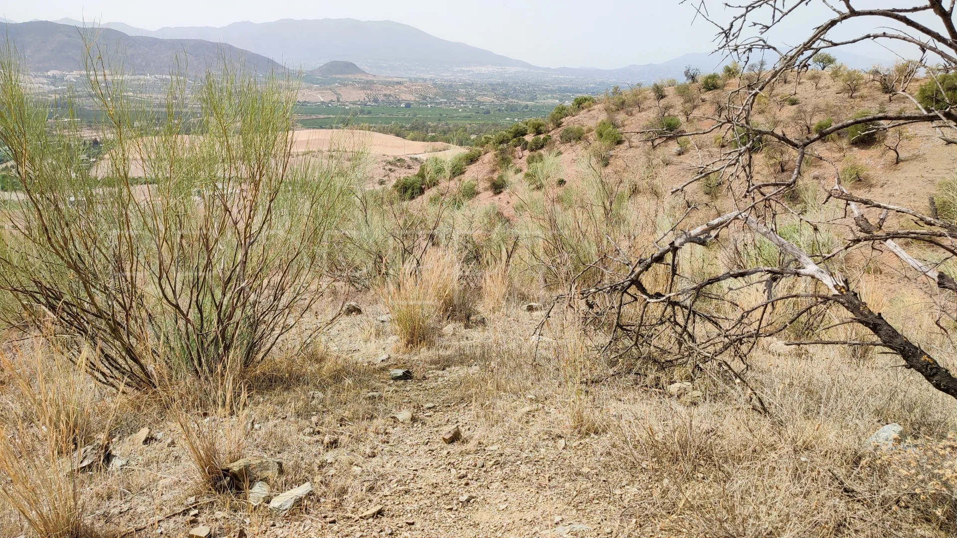 For sale plot in Estacion de Cartama