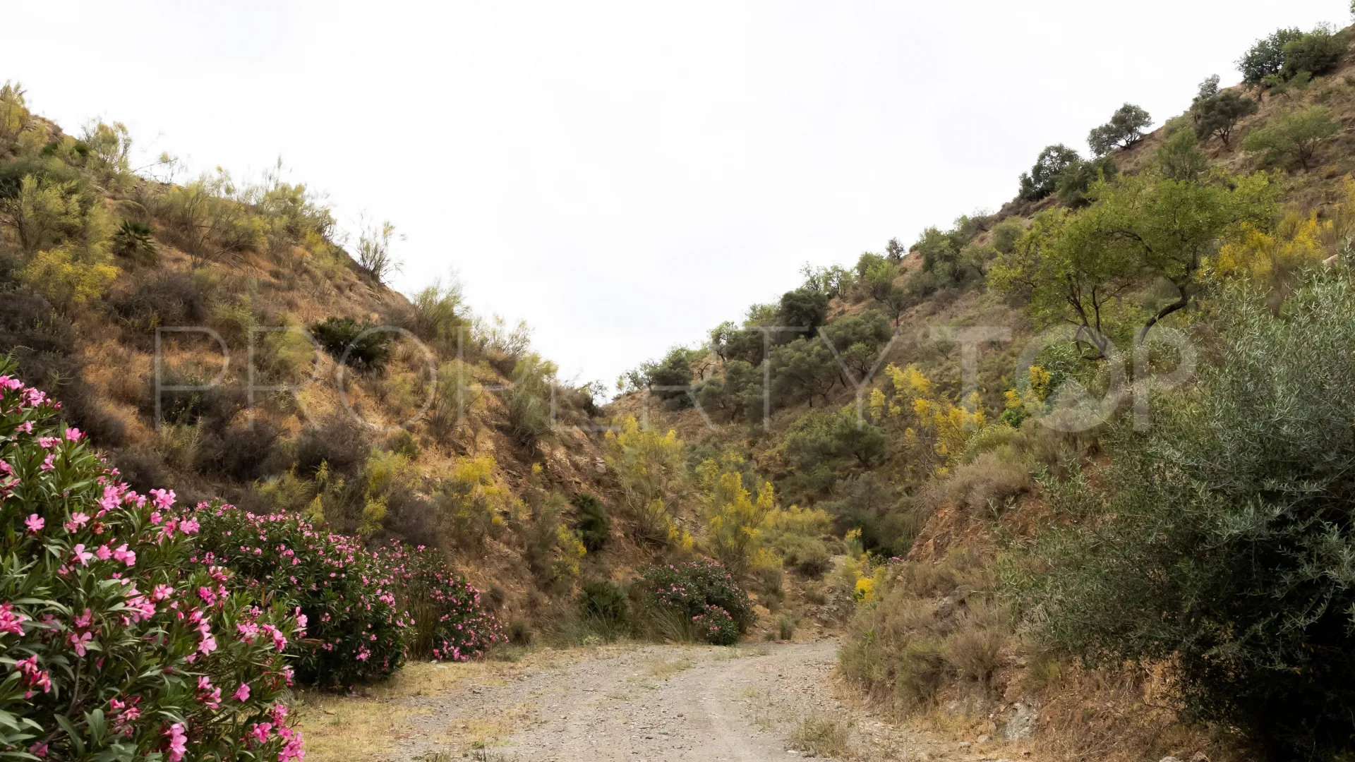 For sale Estacion de Cartama plot