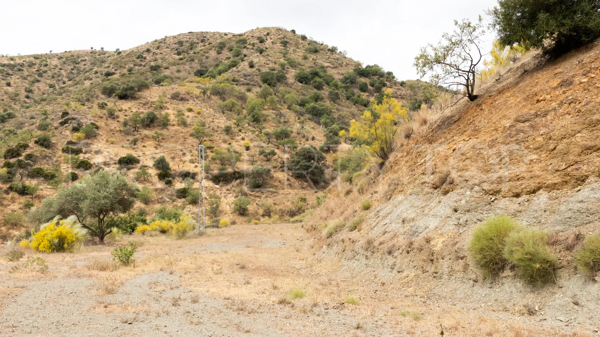 For sale Estacion de Cartama plot
