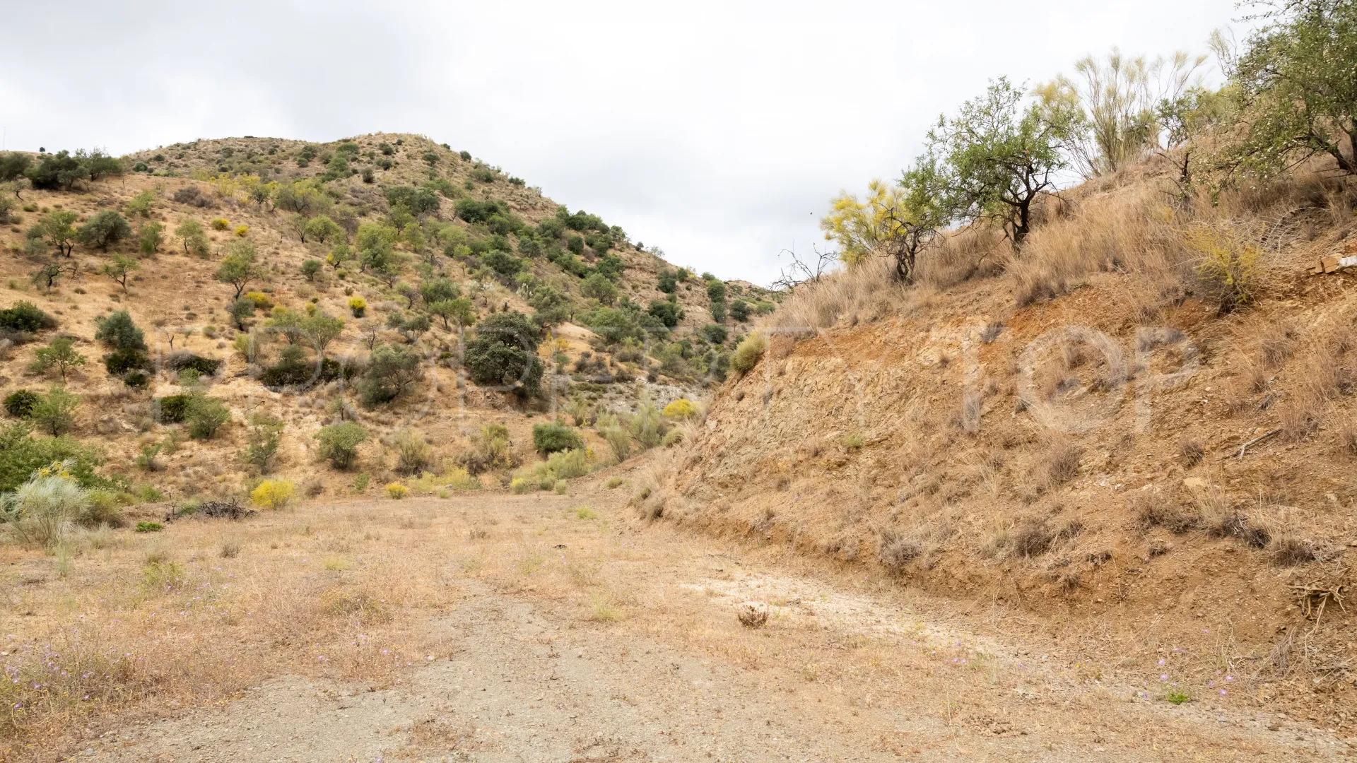 For sale Estacion de Cartama plot