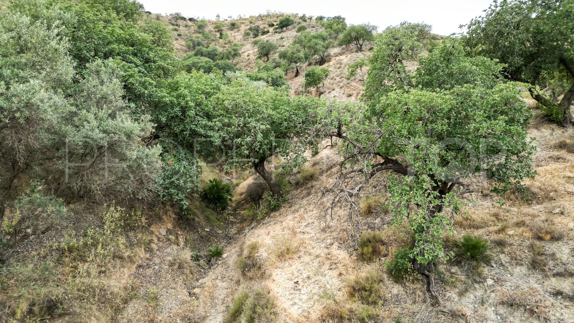 For sale Estacion de Cartama plot