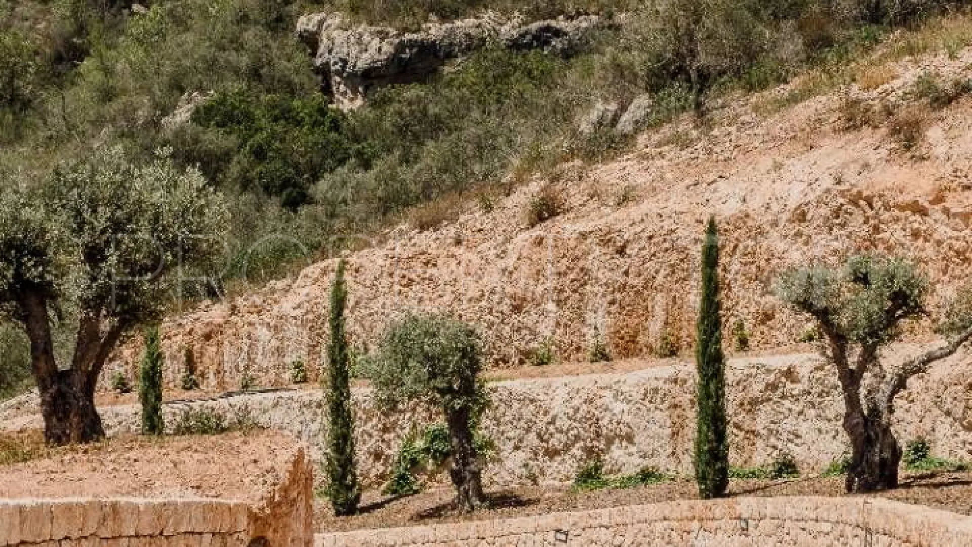 Buy Palma de Mallorca house