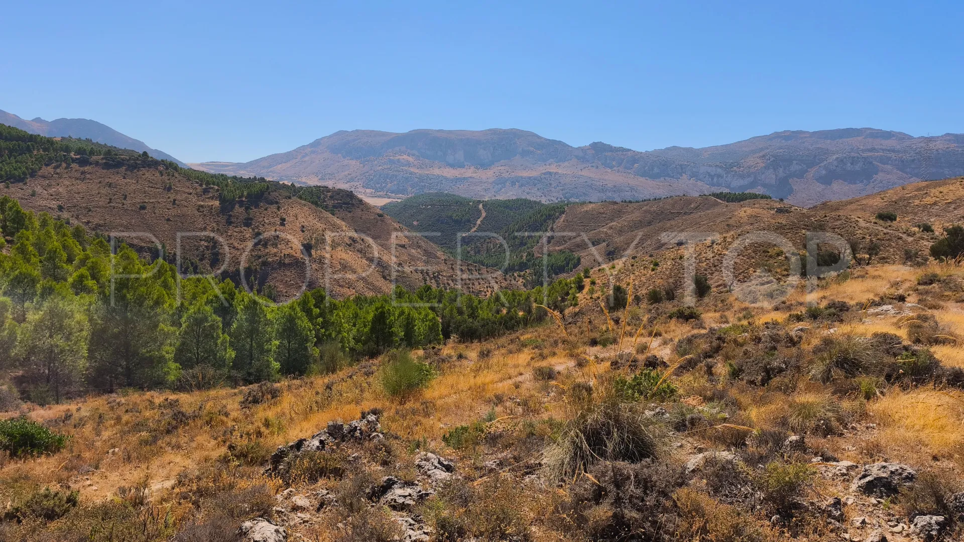 Plot for sale in Antequera