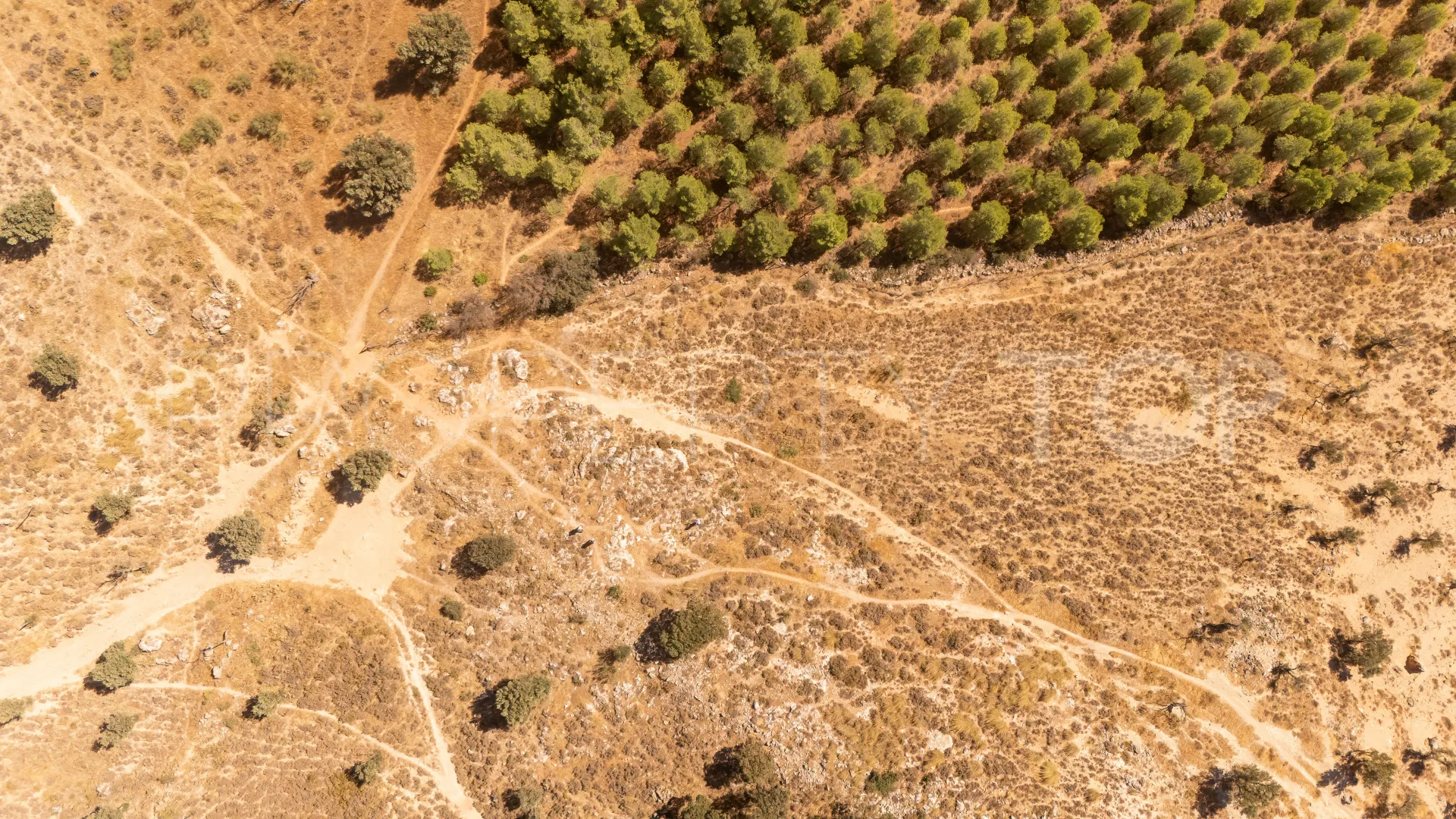 Plot for sale in Antequera