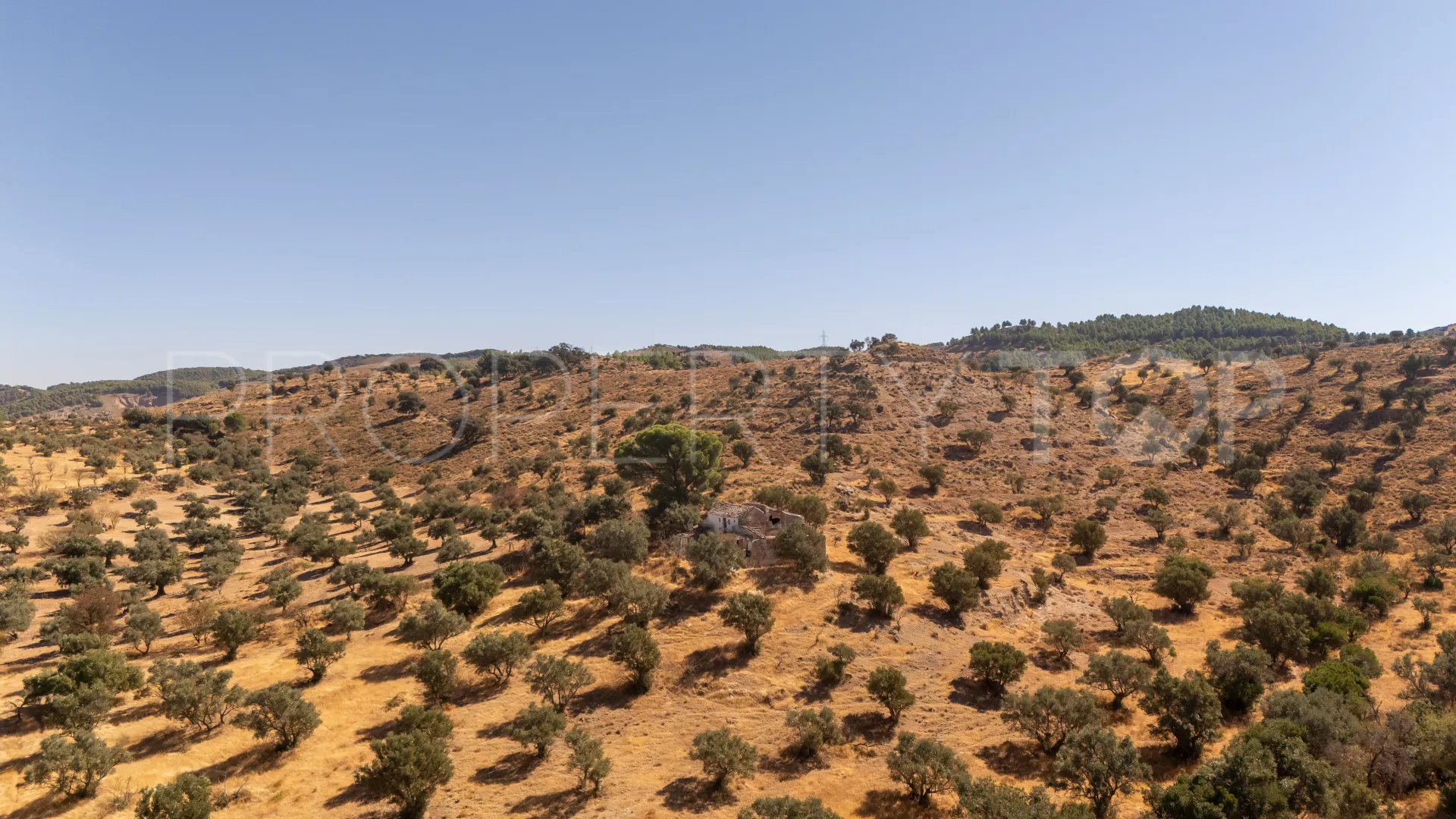 Plot for sale in Antequera