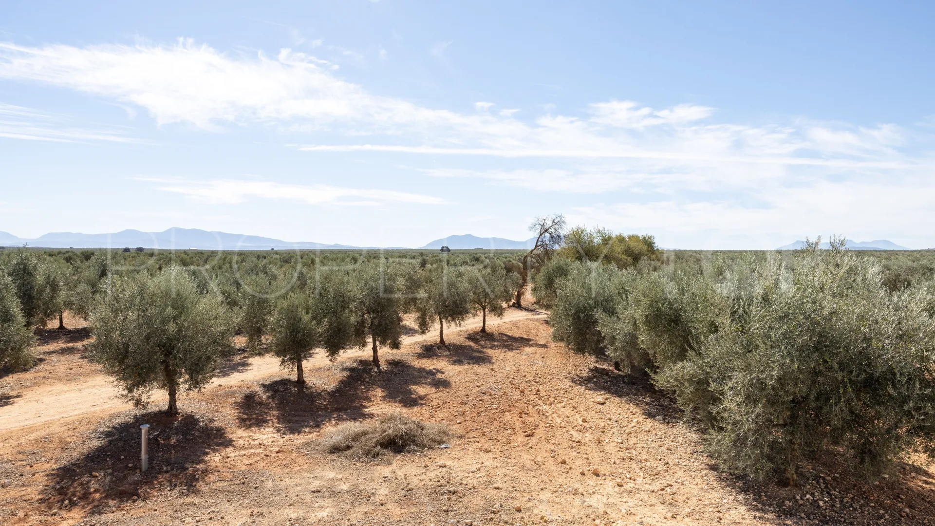 For sale villa in Antequera with 7 bedrooms