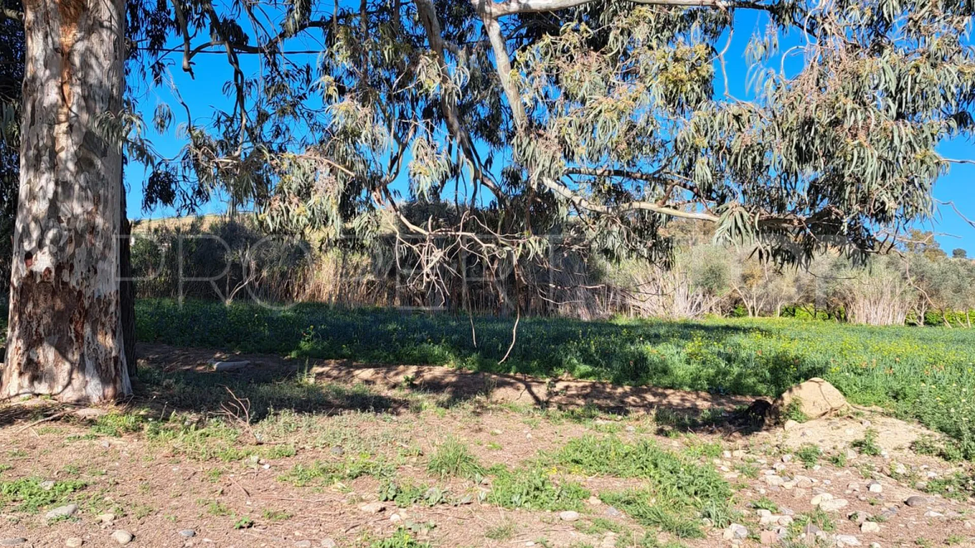 For sale plot in Cartama