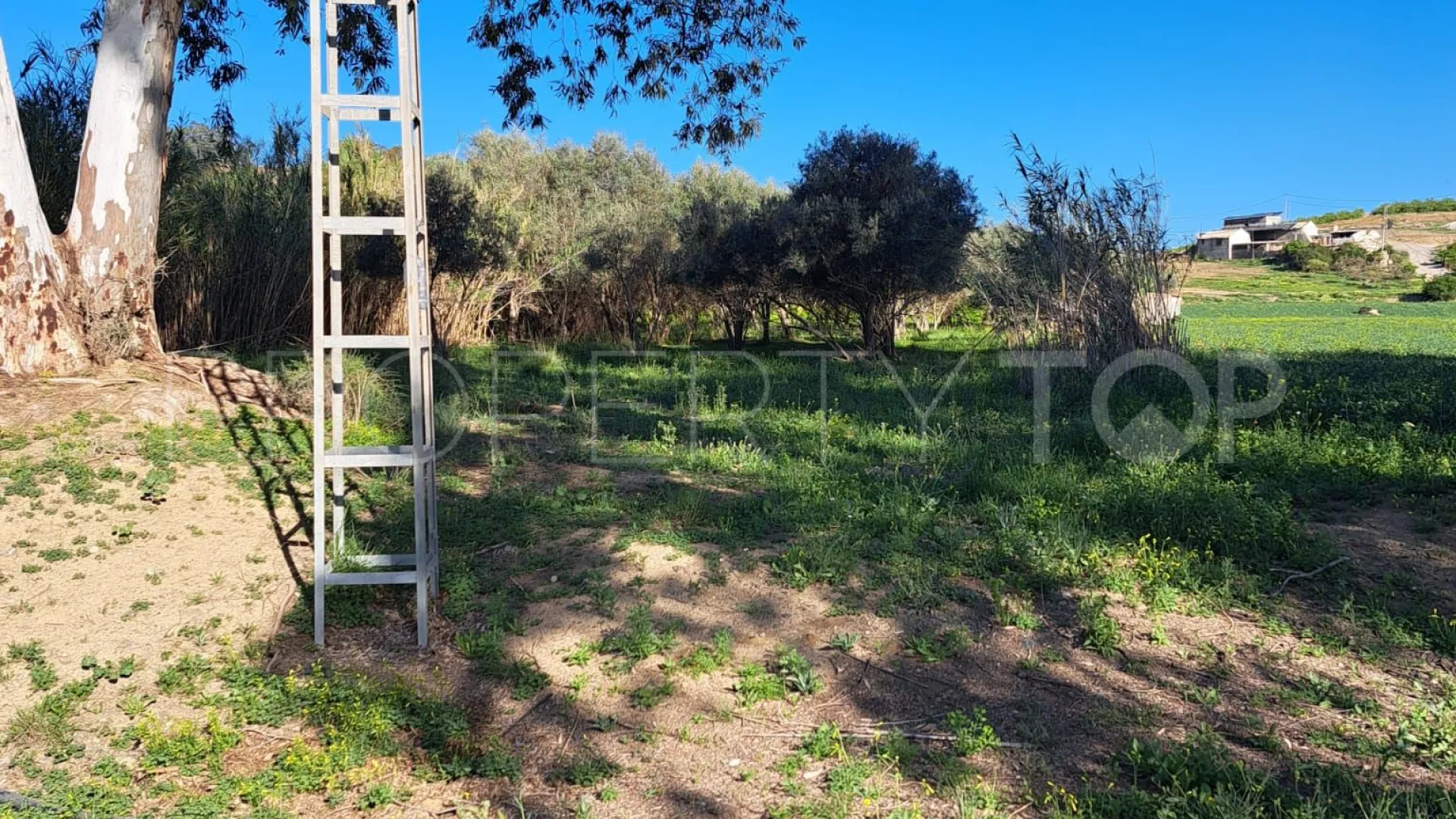 For sale plot in Cartama