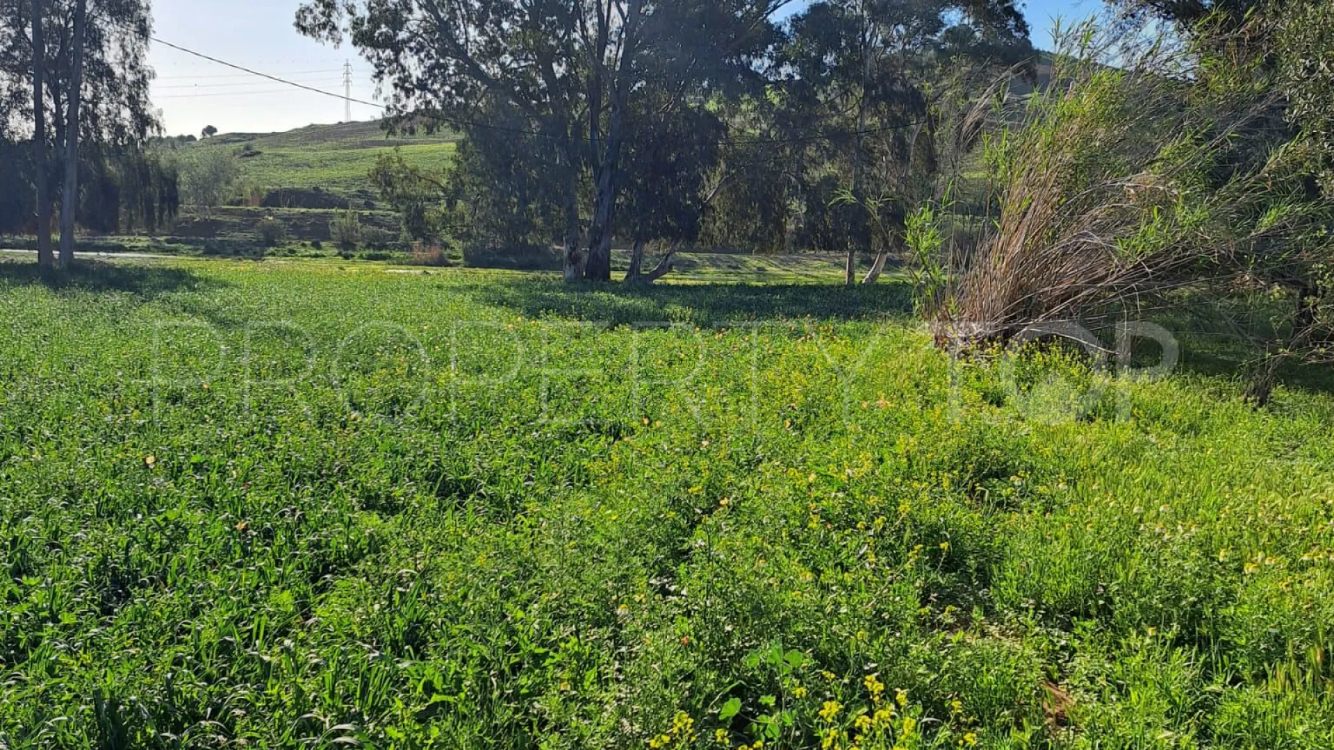 For sale plot in Cartama