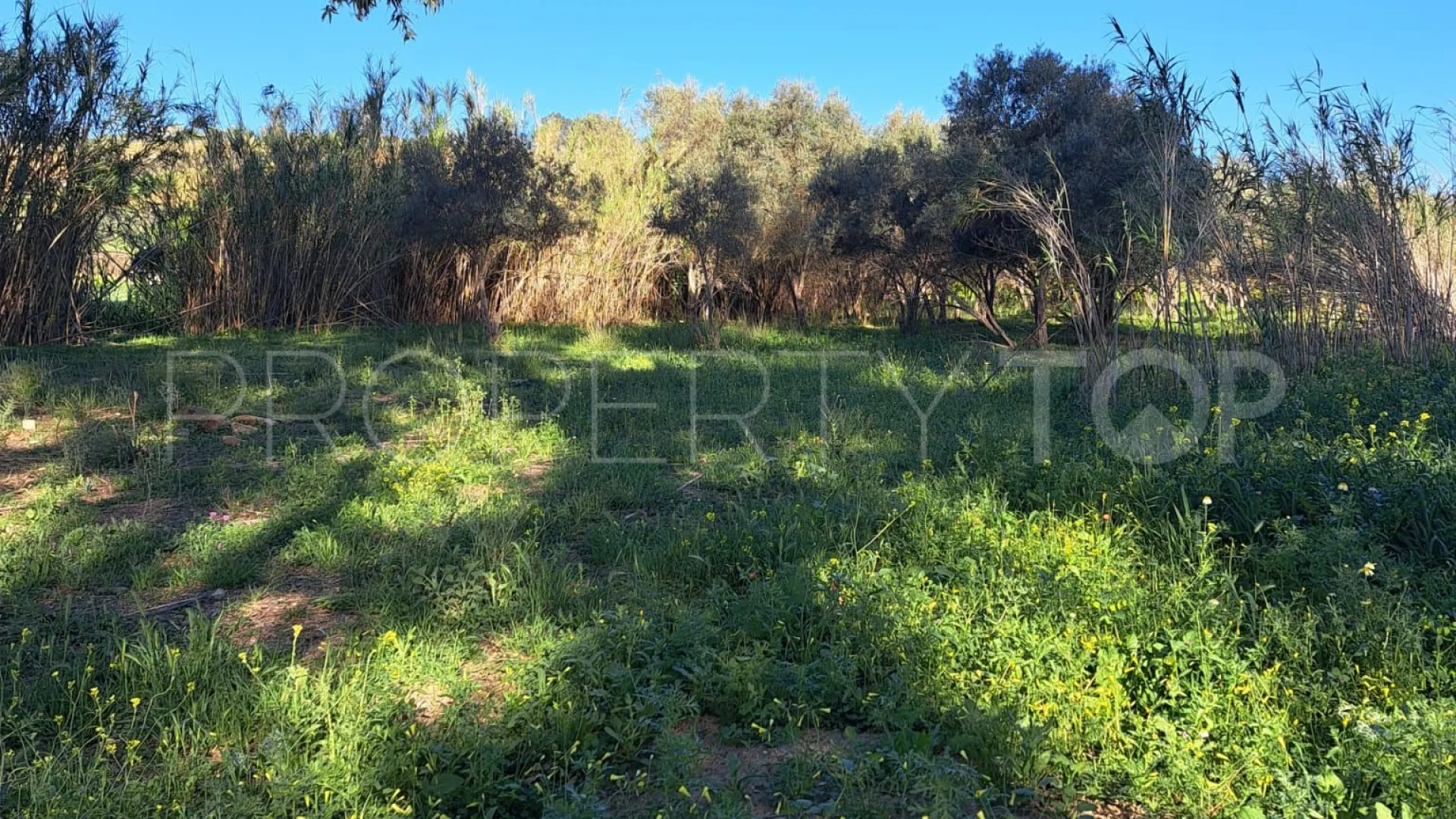 For sale plot in Cartama