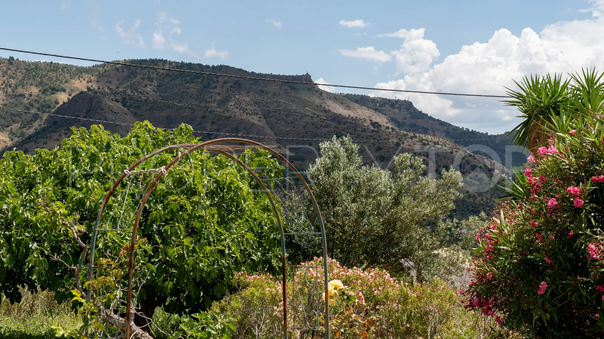 Finca in Alora for sale