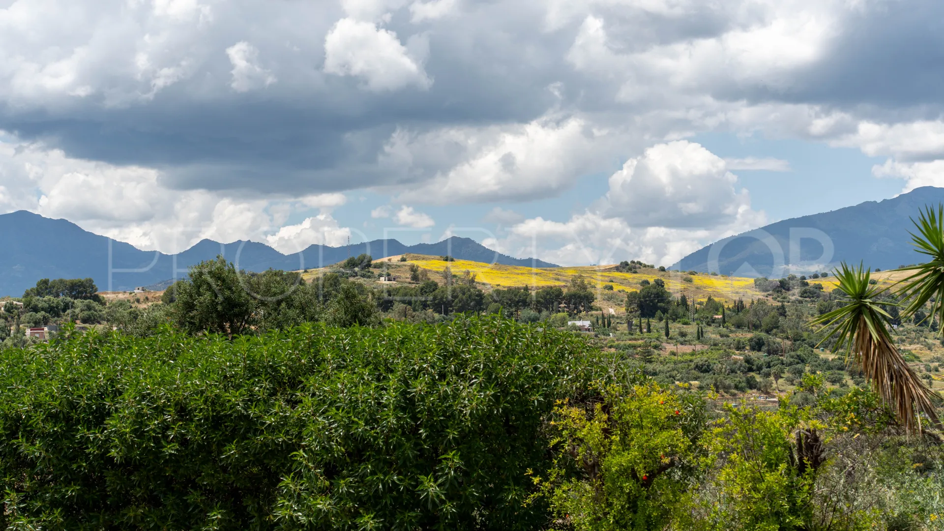 Finca in Alora for sale