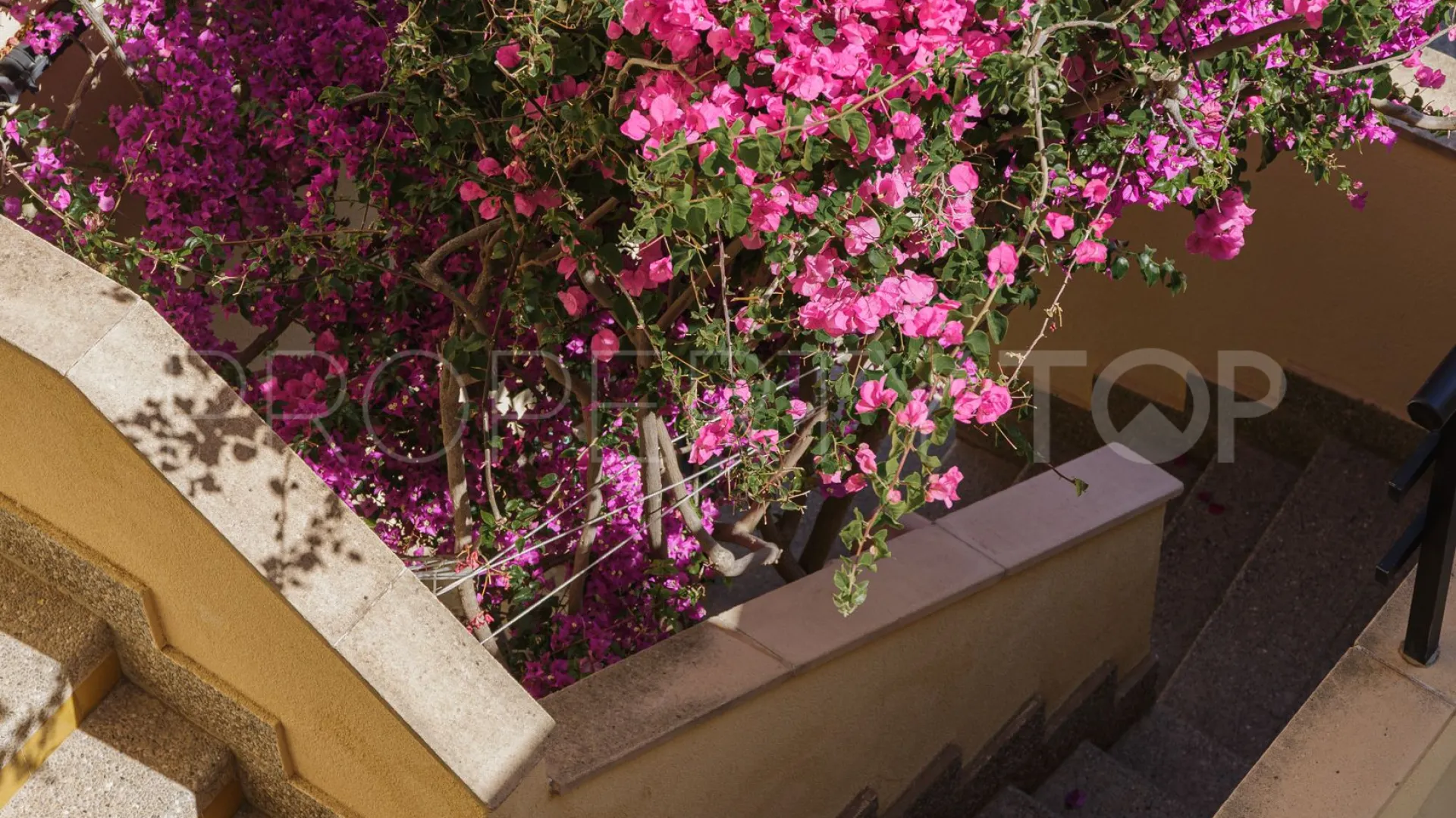 Apartment with 2 bedrooms for sale in Puerto Andratx