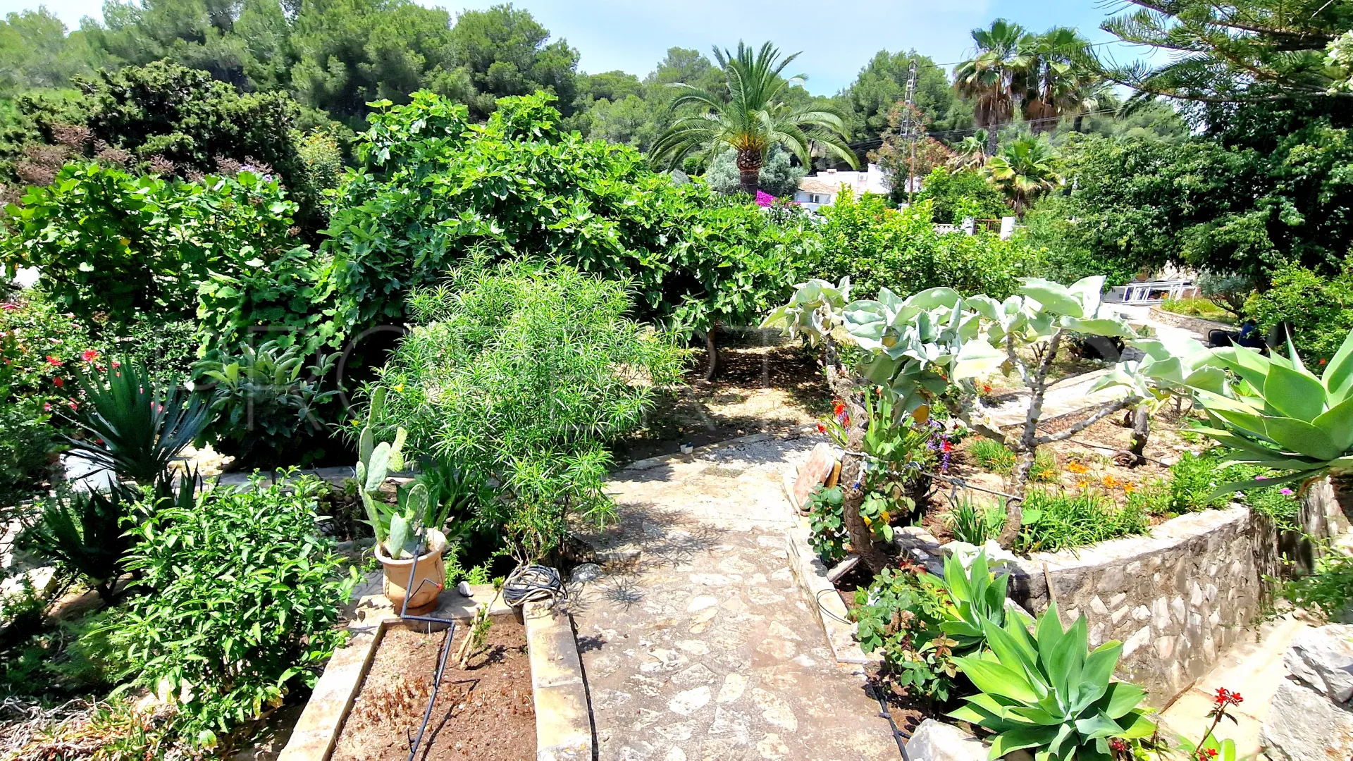 Moraira, villa con 3 dormitorios en venta