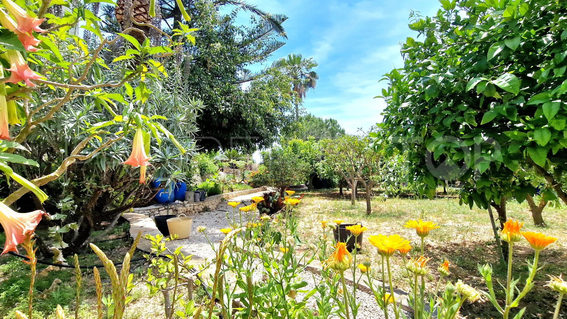 Moraira, villa con 3 dormitorios en venta