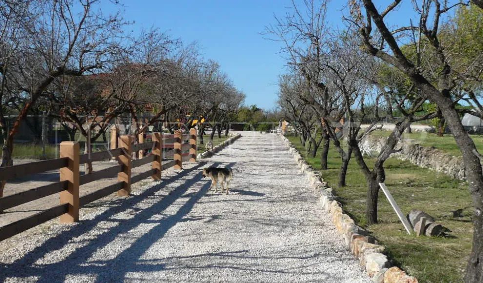 For sale villa in Pedreguer with 5 bedrooms