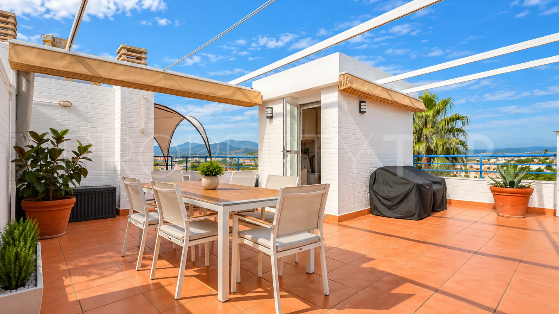 Oliva Nova, Ático en venta