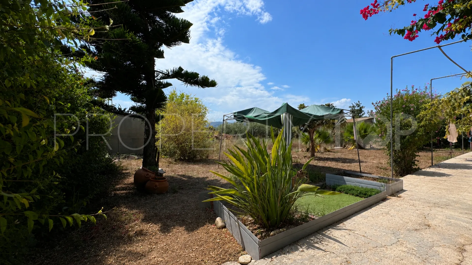 For sale 4 bedrooms finca in Oliva