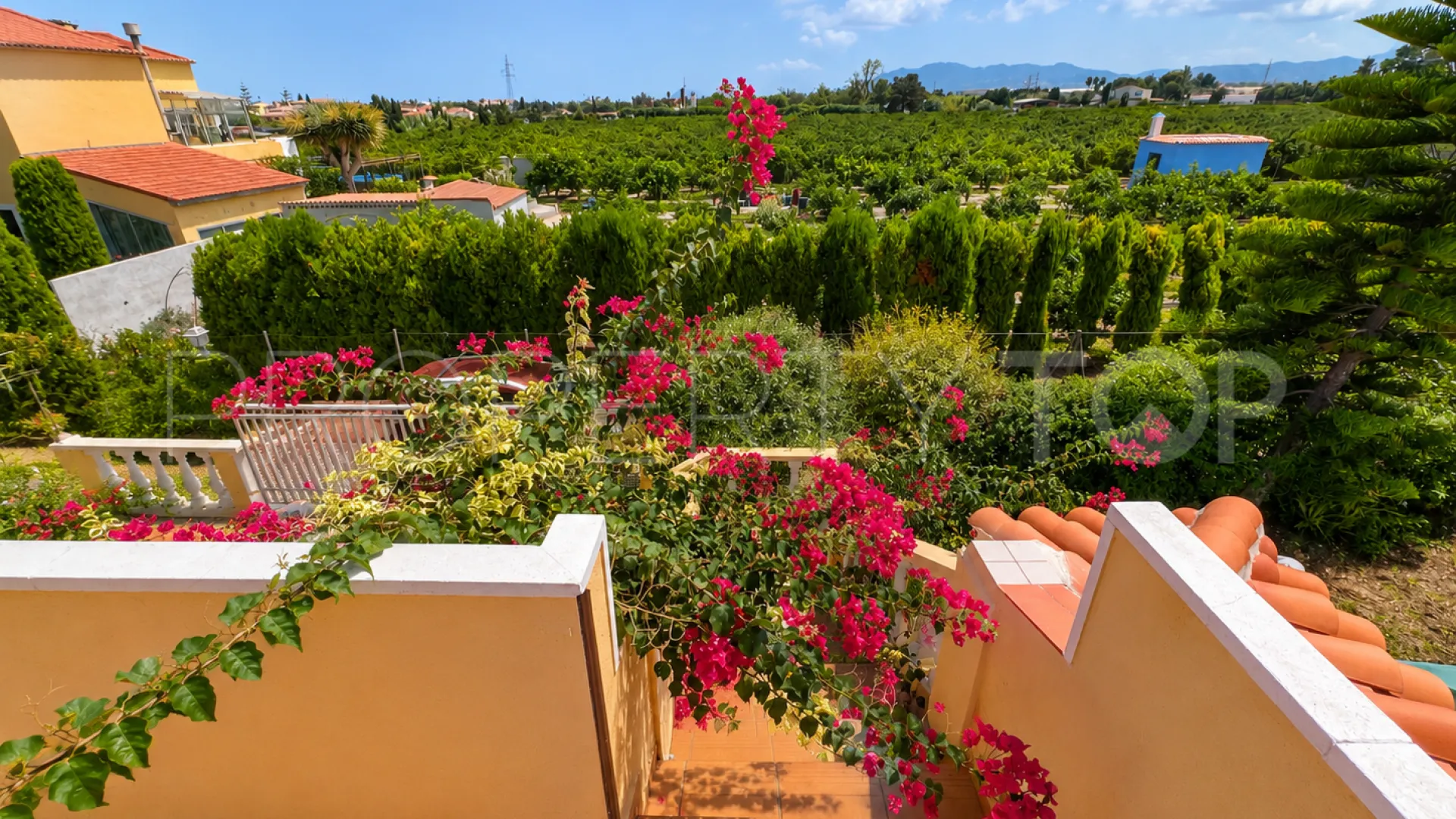 For sale 4 bedrooms finca in Oliva