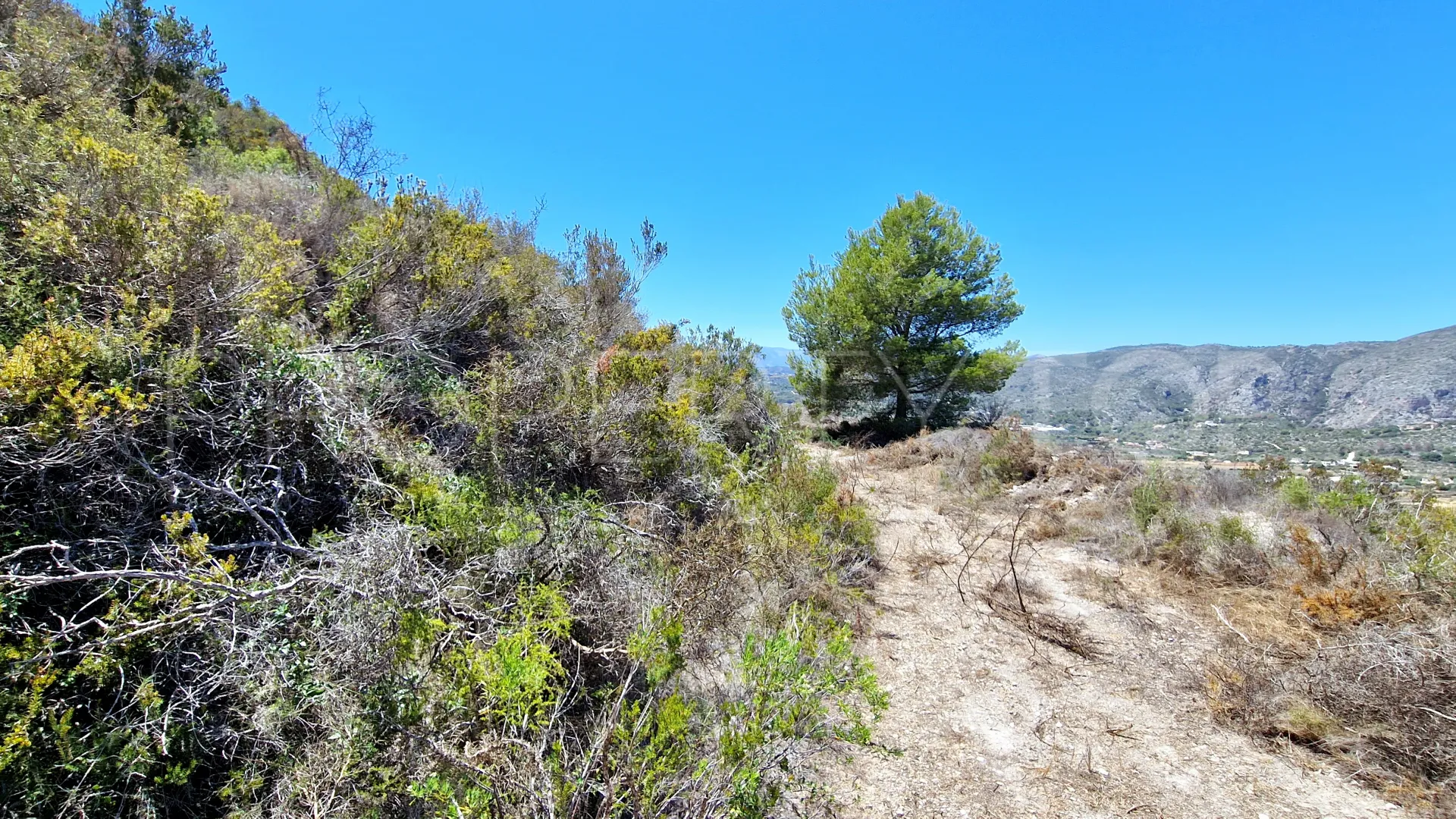 Plot for sale in Teulada