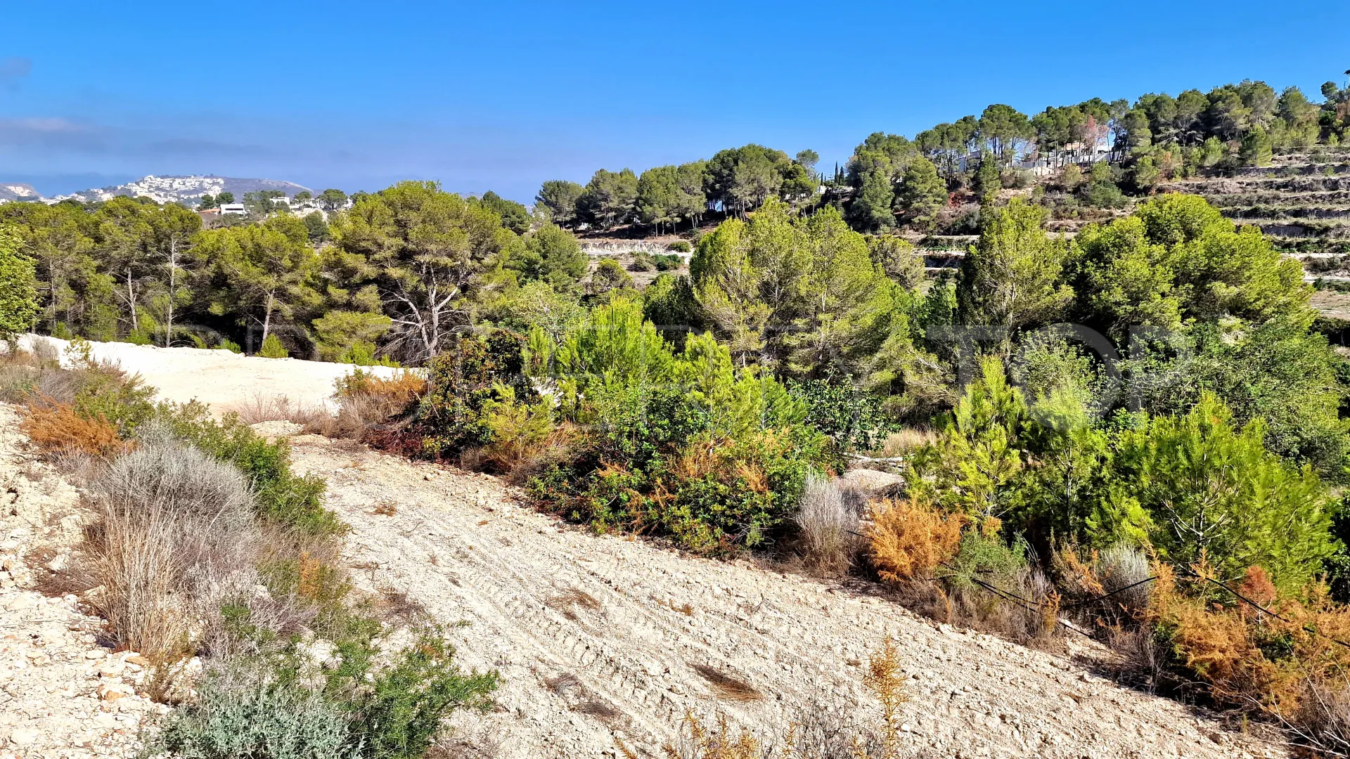 For sale Teulada plot
