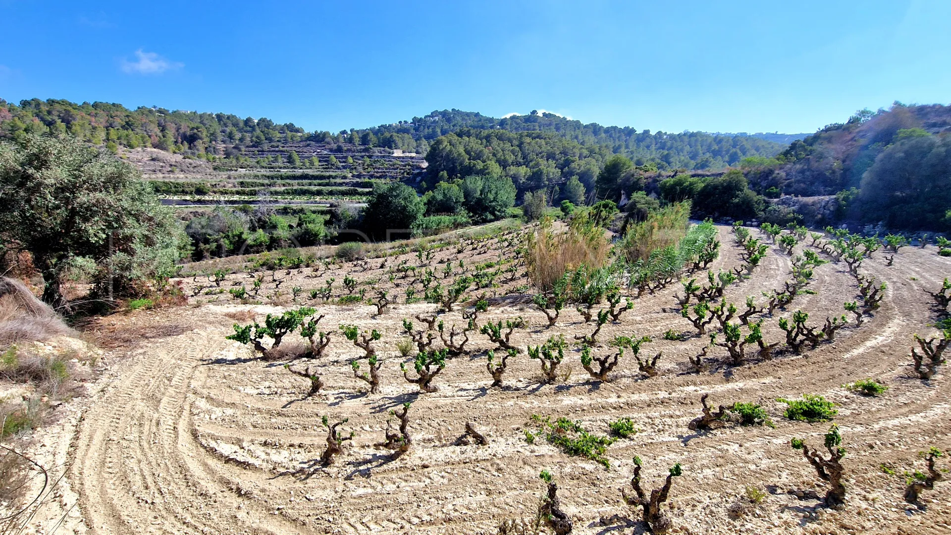 For sale Teulada plot