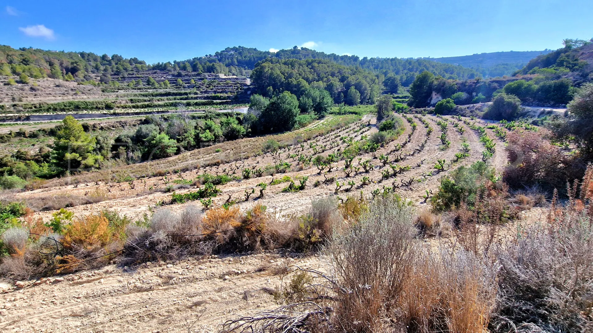 For sale Teulada plot