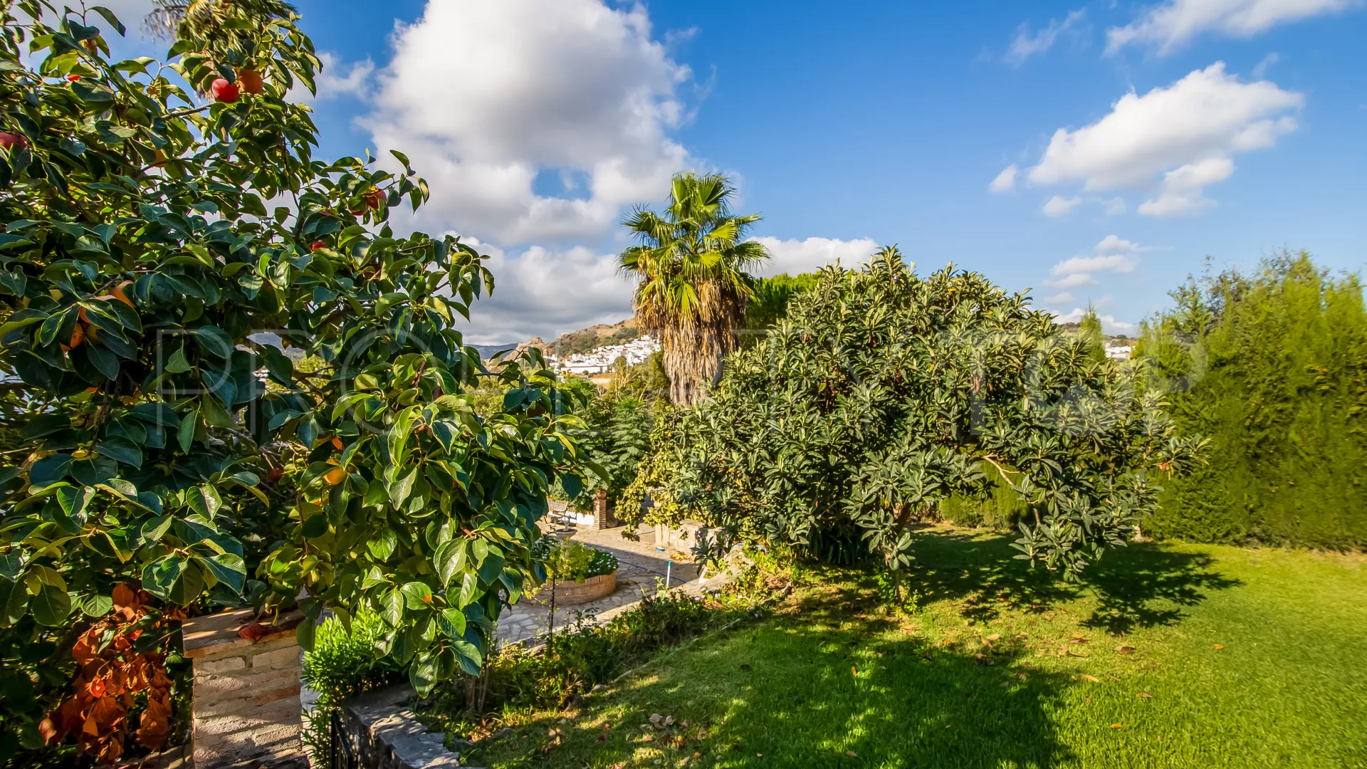 For sale villa in Jimena de La Frontera