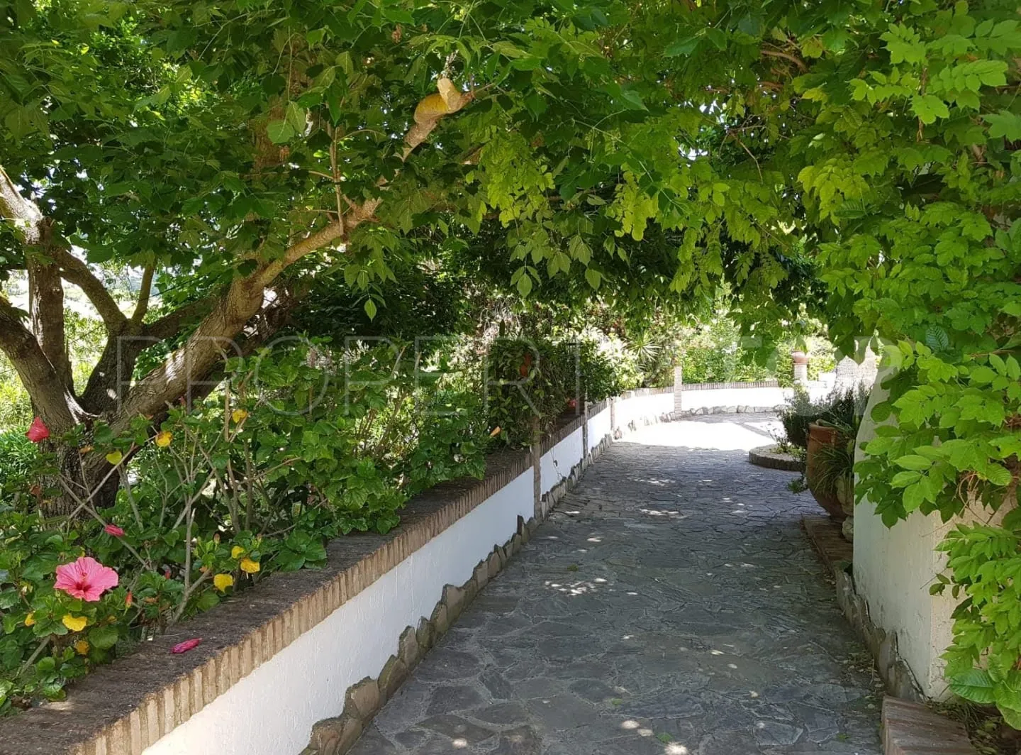 For sale villa in Jimena de La Frontera