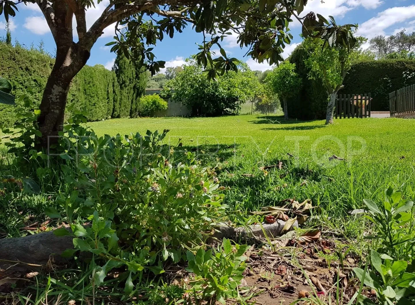 For sale villa in Jimena de La Frontera