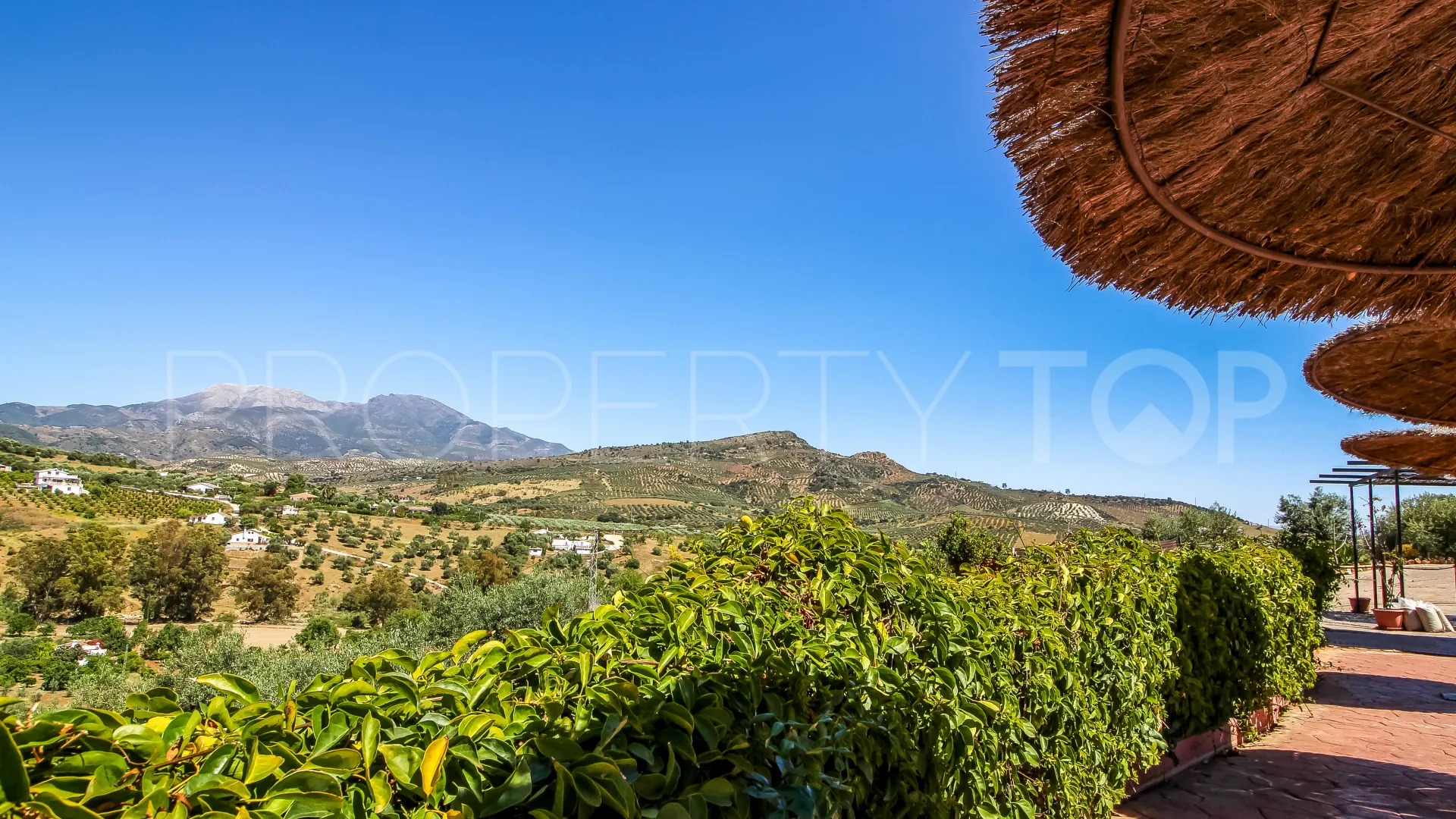 For sale Guaro commercial premises