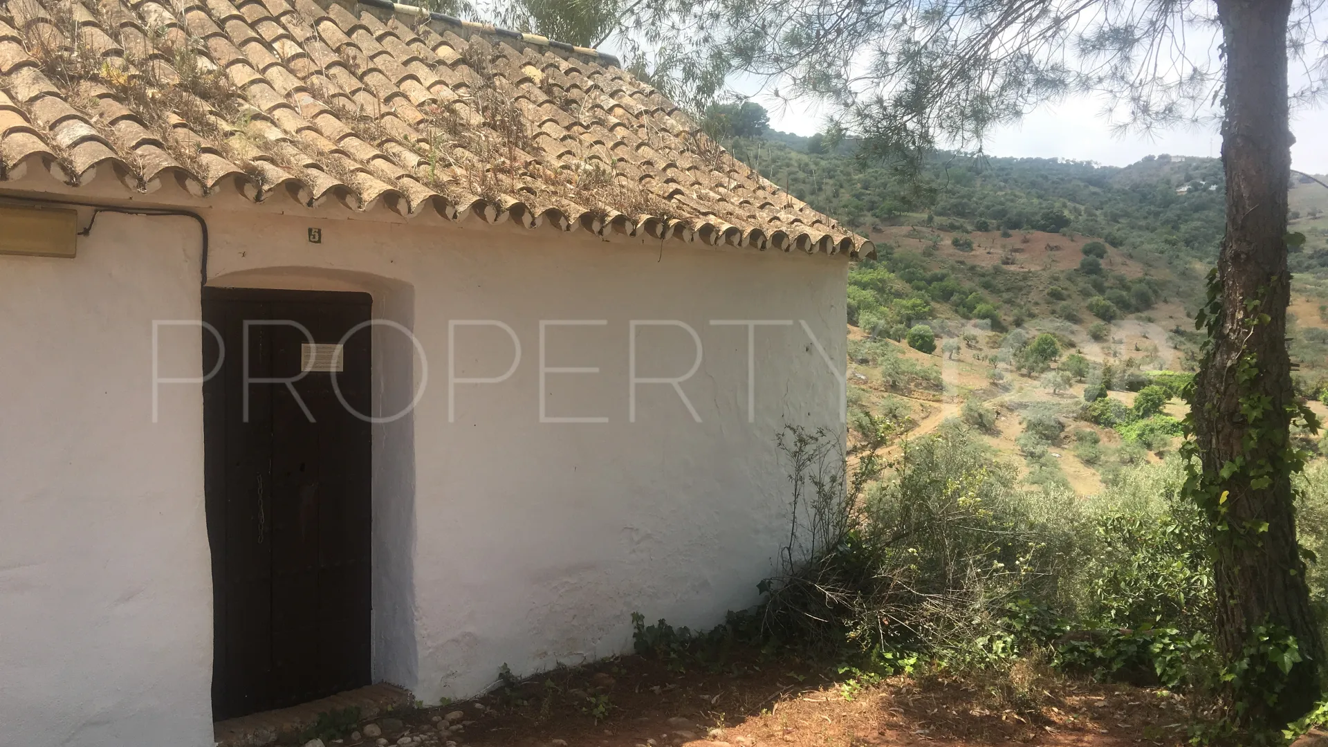 For sale Guaro commercial premises