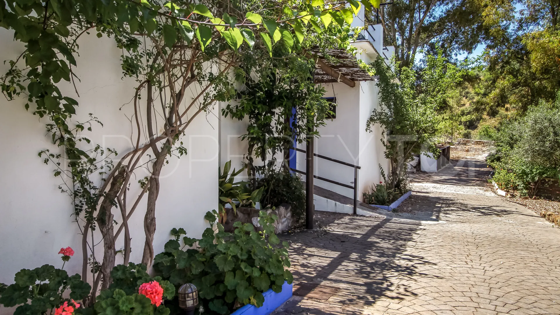For sale Guaro commercial premises