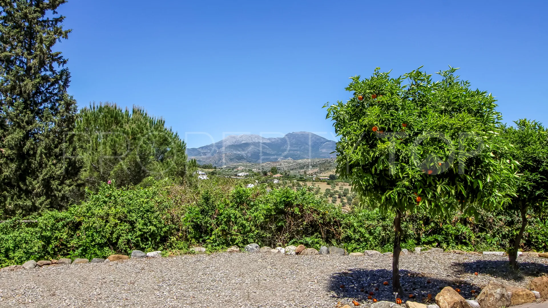 For sale Guaro commercial premises