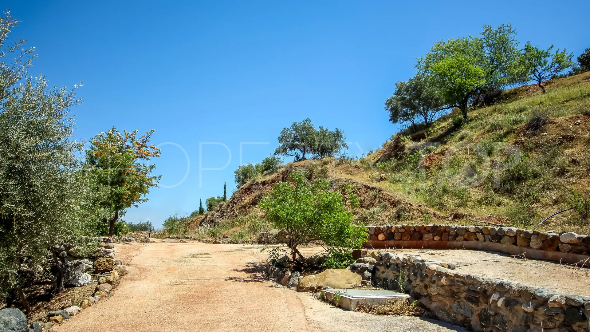 For sale Guaro commercial premises