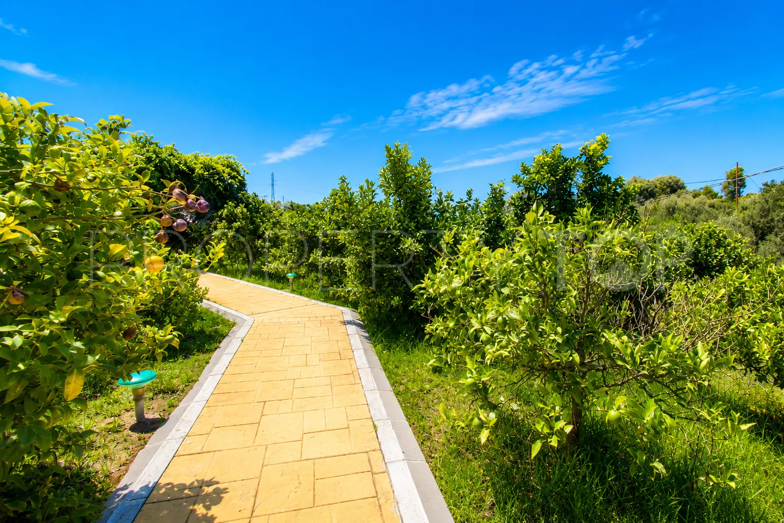 Finca a la venta en Estepona