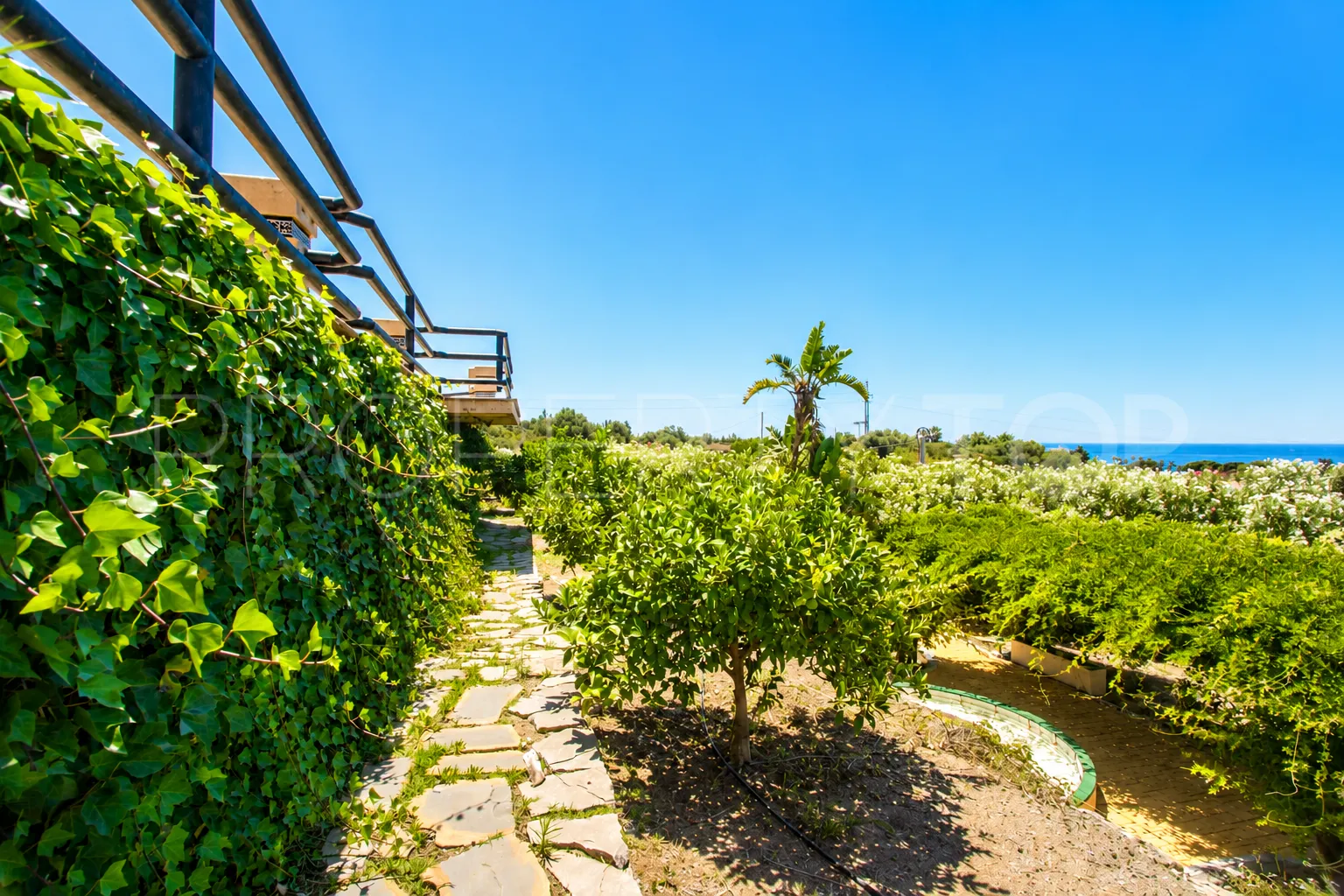 Finca a la venta en Estepona