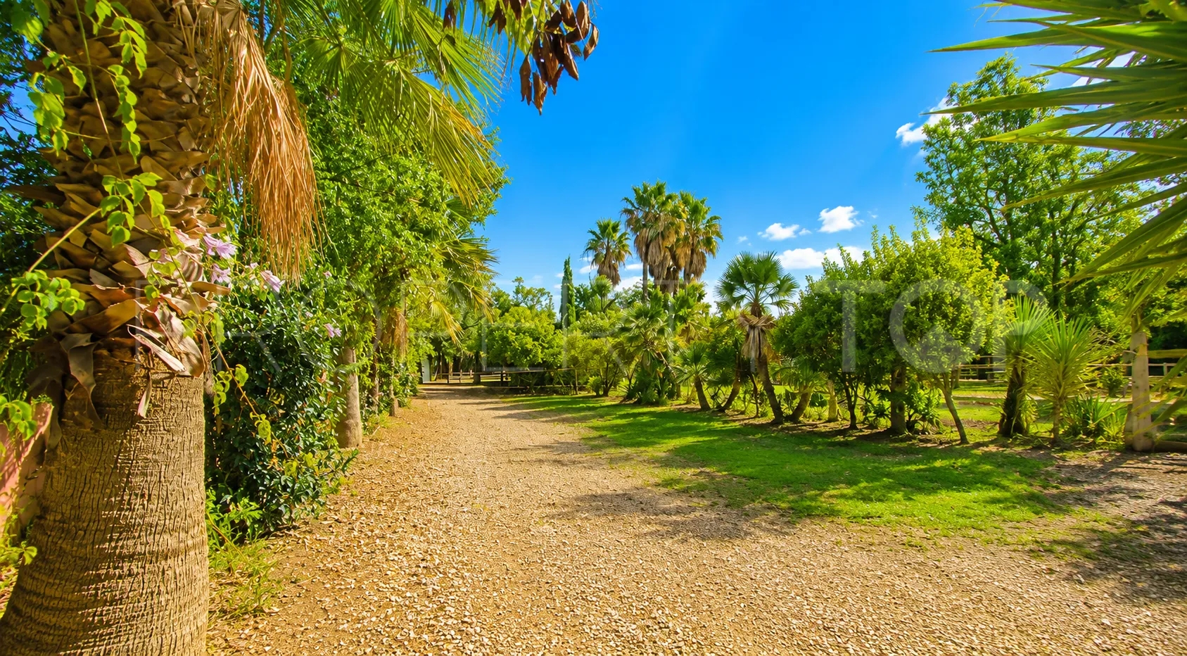 Finca en venta en Estepona